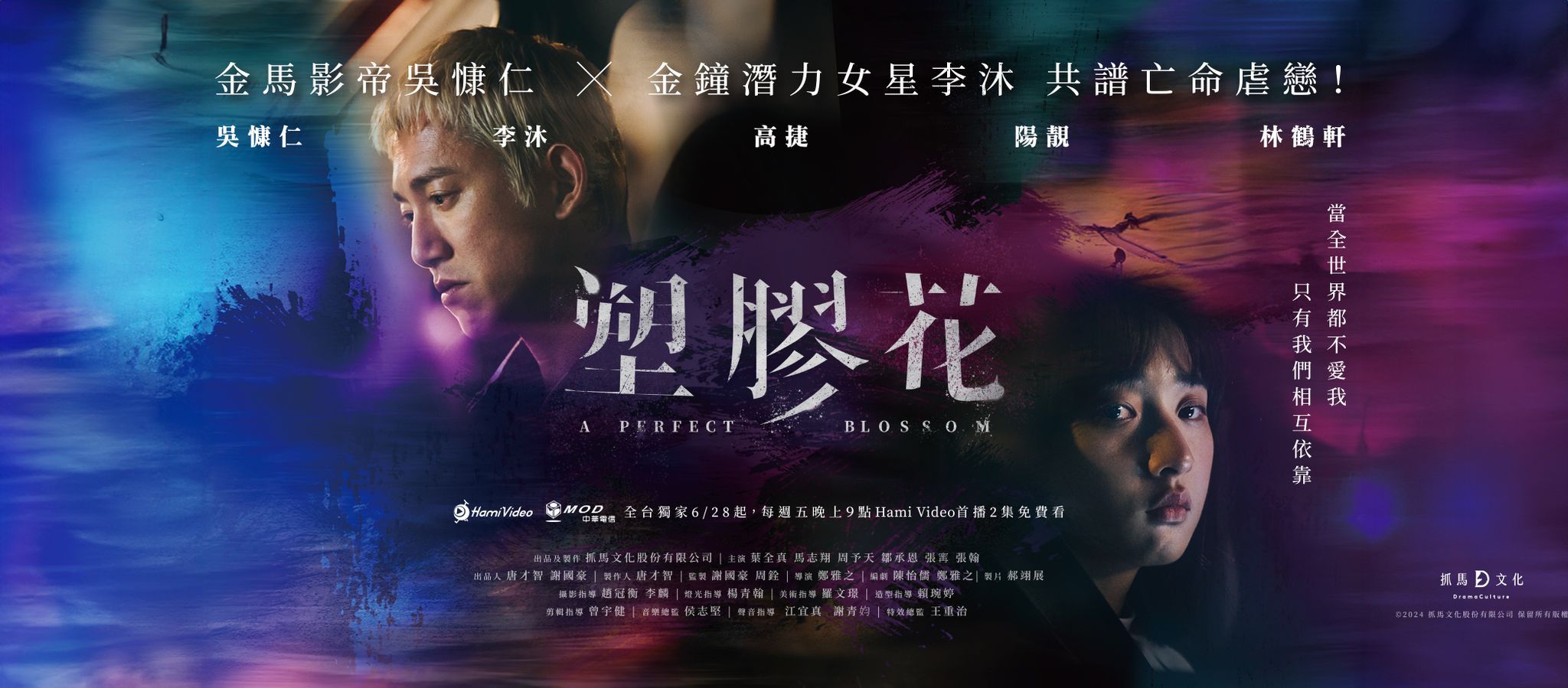 塑胶花的海报-正式海报 中国台湾