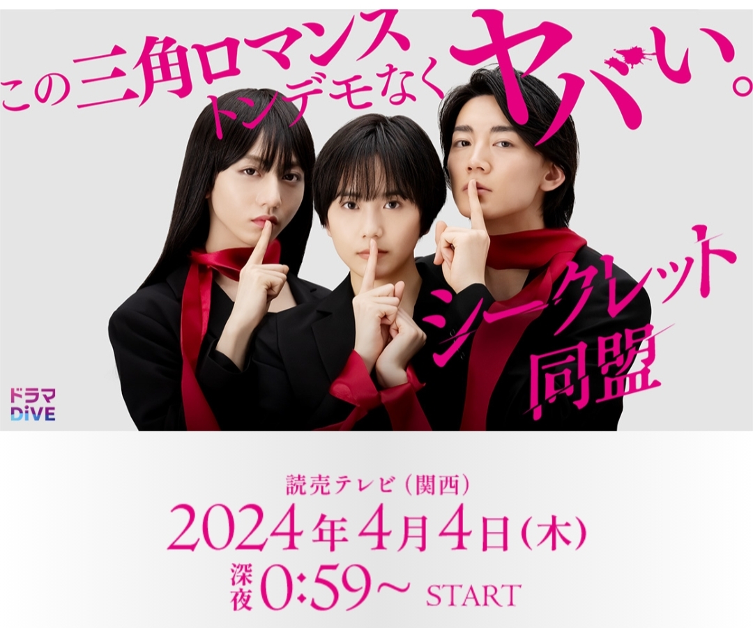 秘密同盟的海报-正式海报