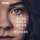 好女孩的谋杀调查指南
