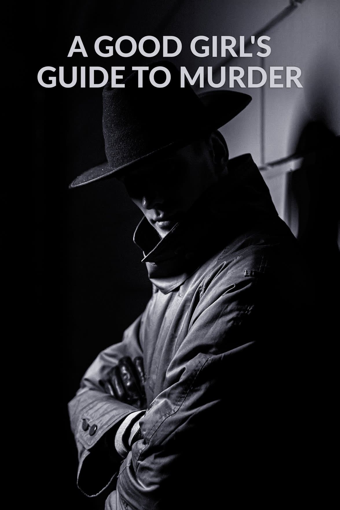 好女孩的谋杀调查指南的海报-其他海报 美国