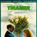 Tinamer