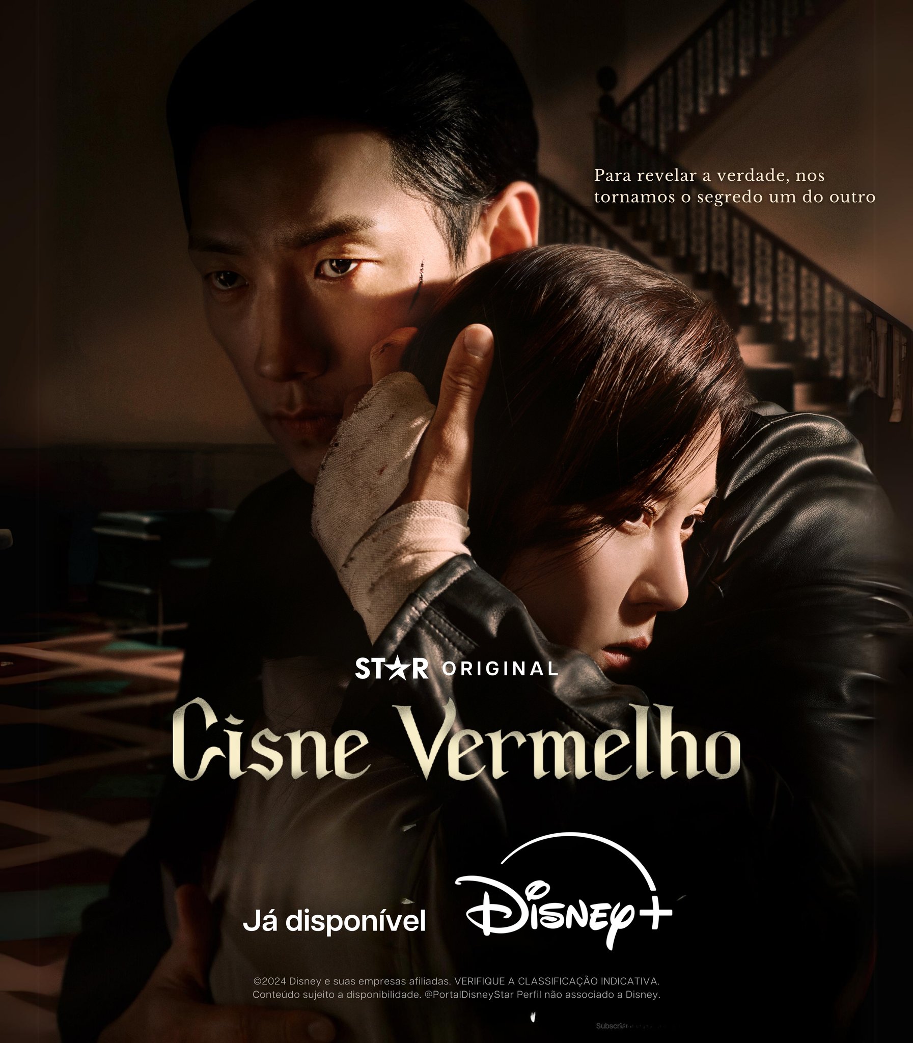 红天鹅的海报-正式海报