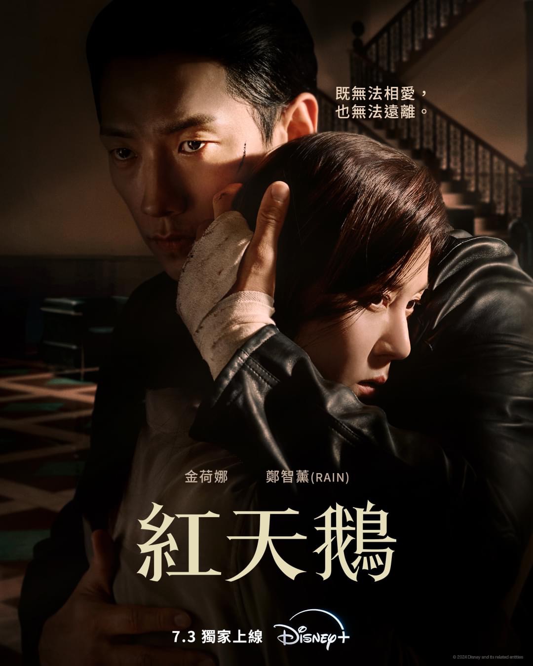 红天鹅的海报-正式海报 中国香港