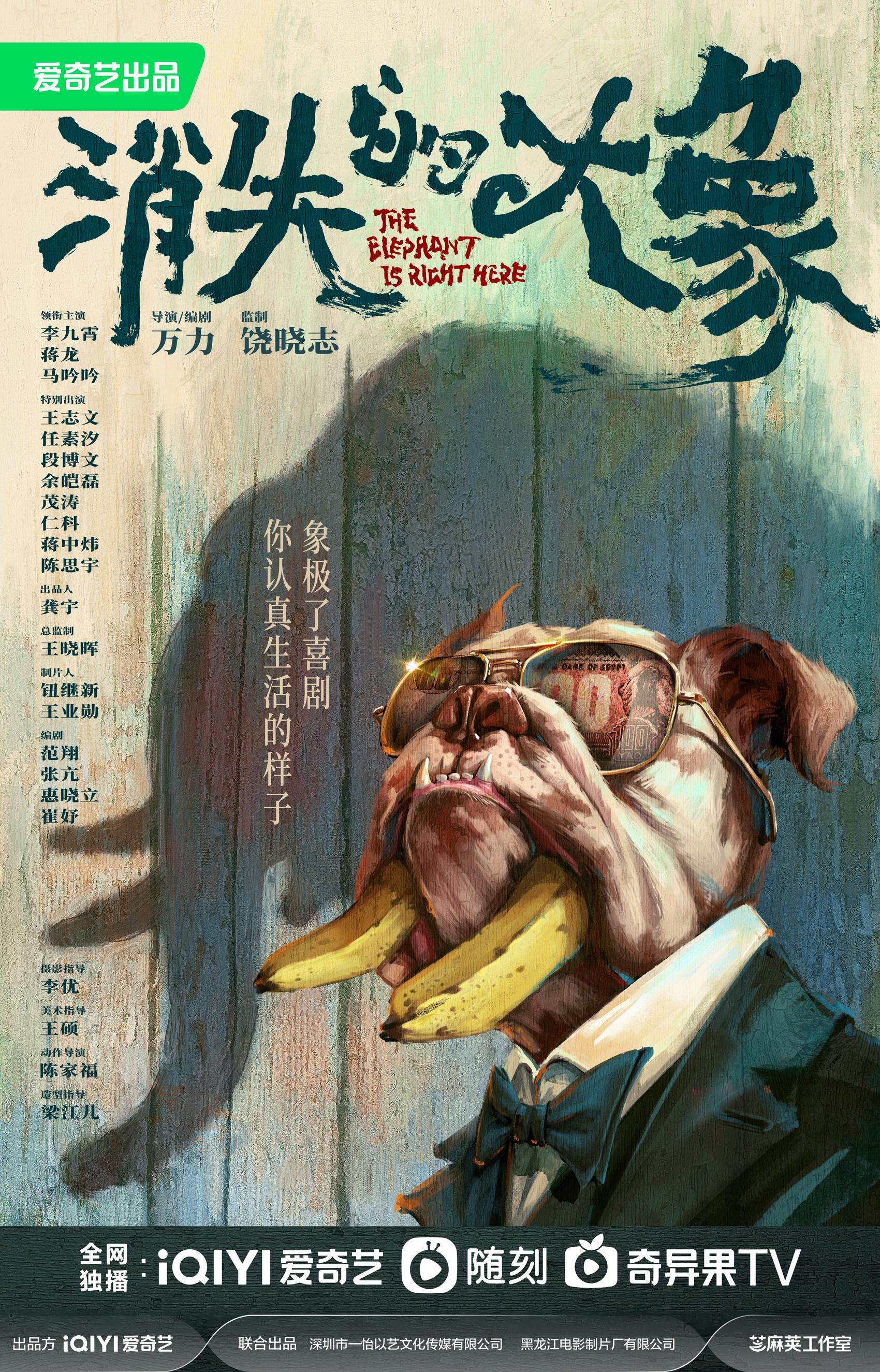 消失的大象的海报-正式海报