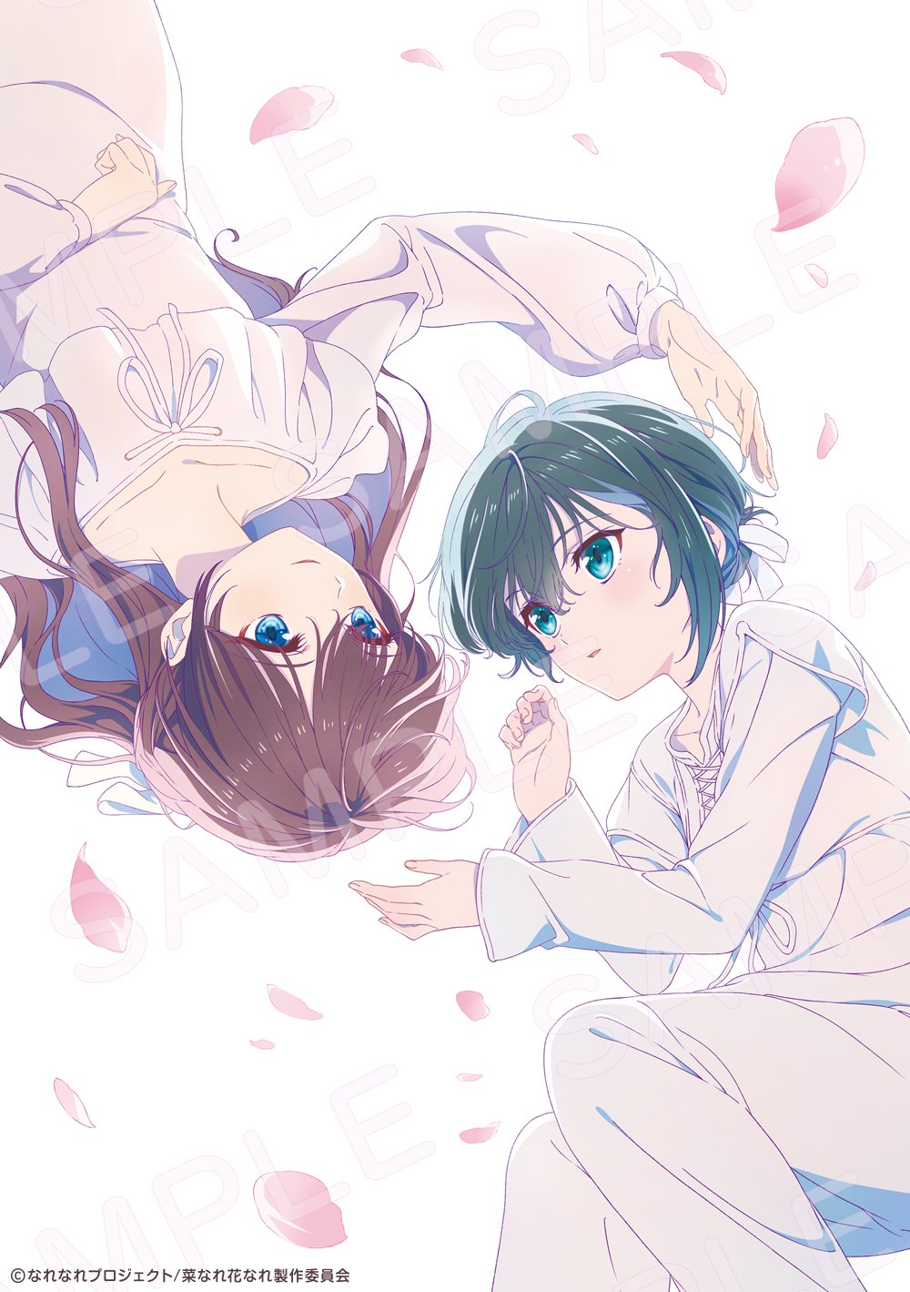 亦叶亦花的海报-其他海报