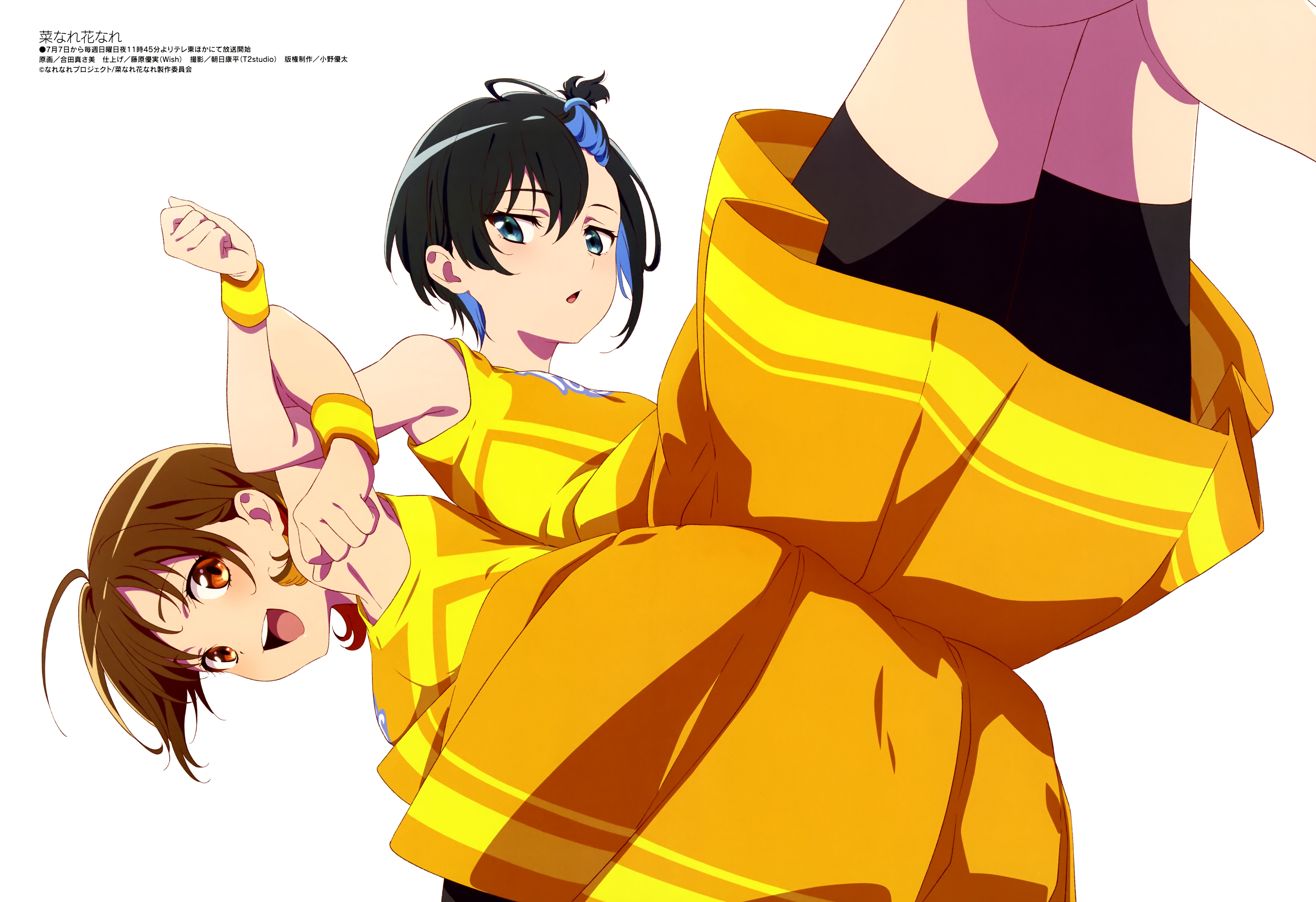 亦叶亦花的海报-其他海报