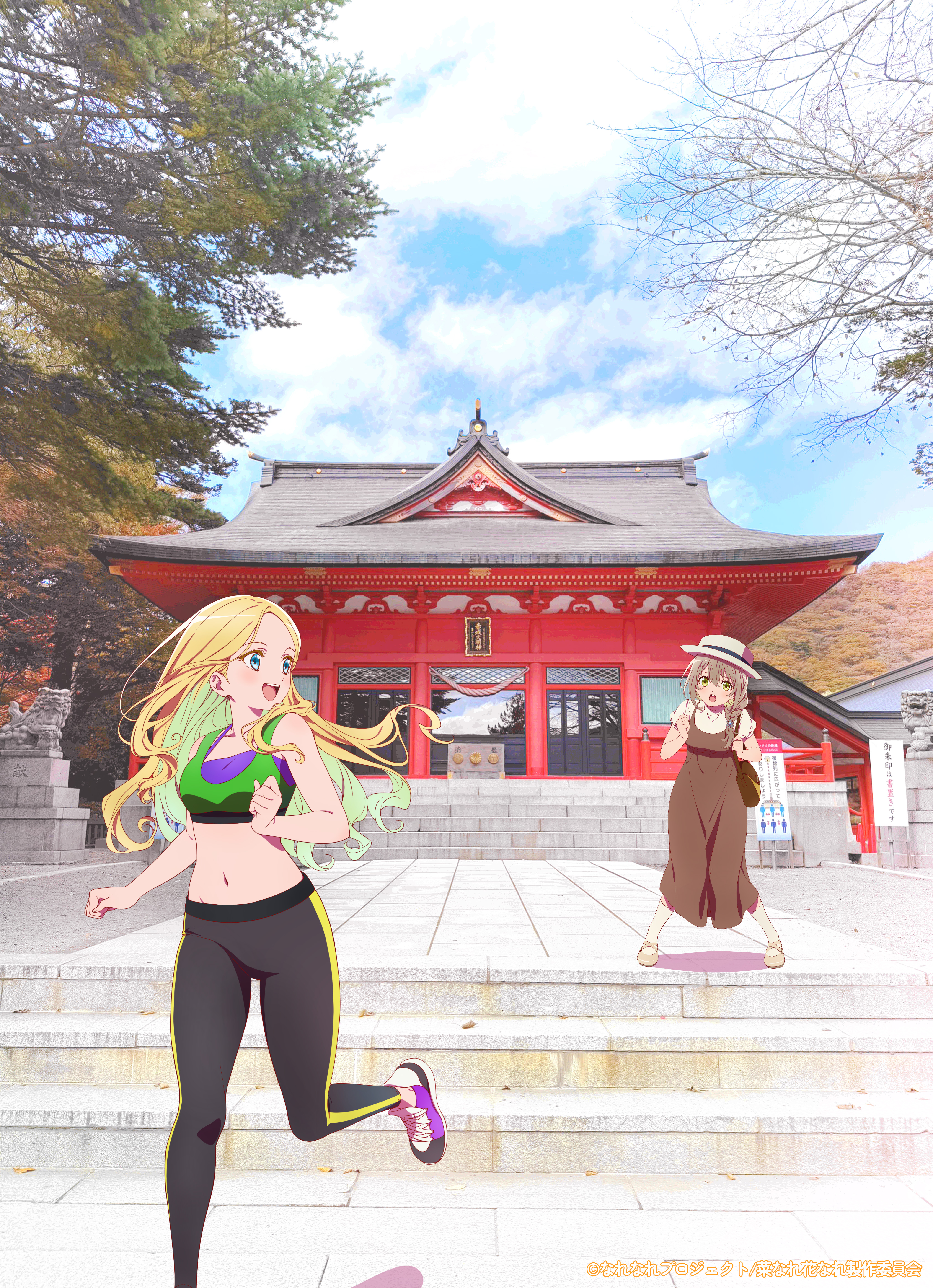 亦叶亦花的海报-其他海报