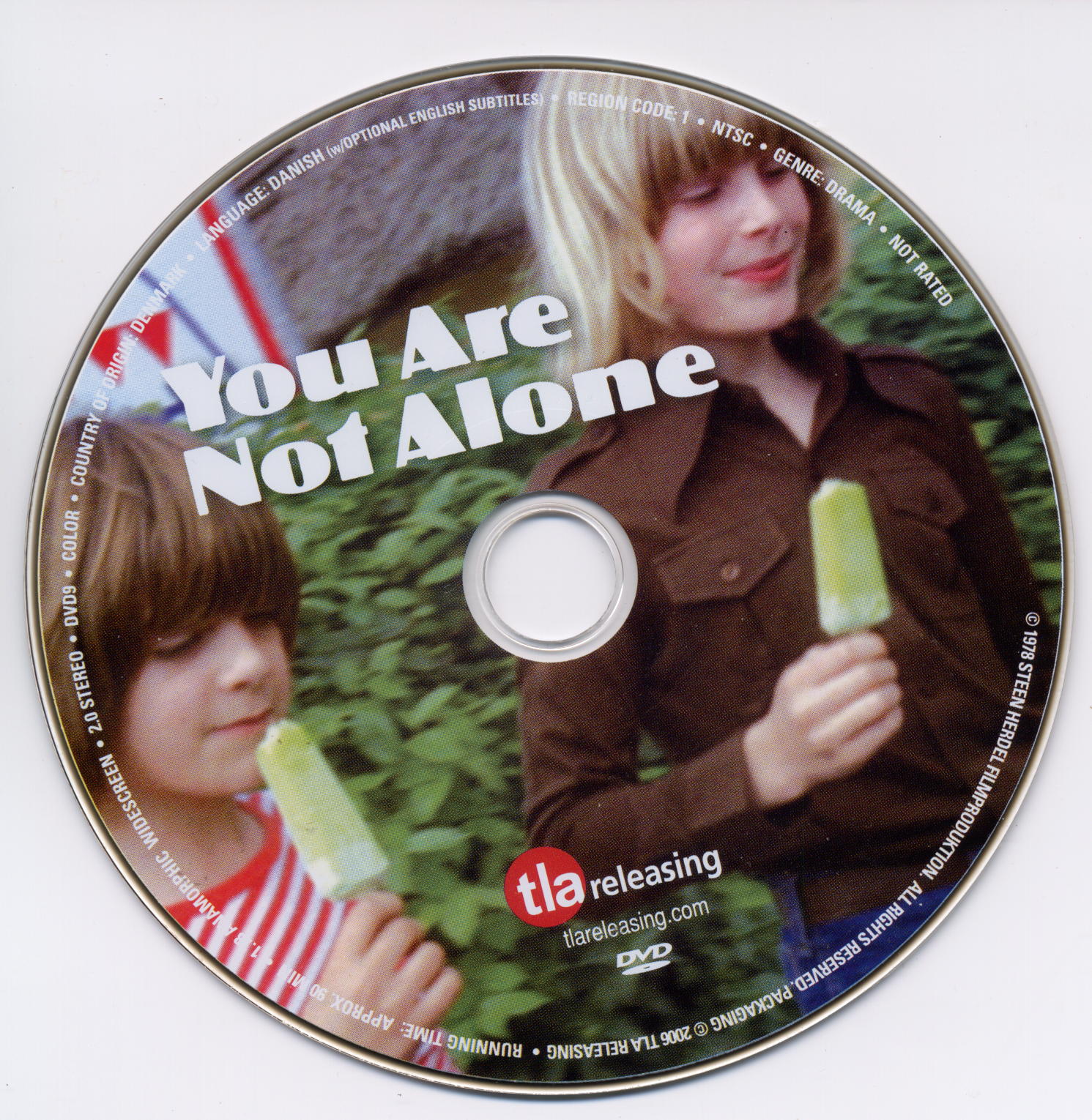 你并不孤单的海报-正式海报