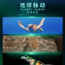 地球脉动：极境生存