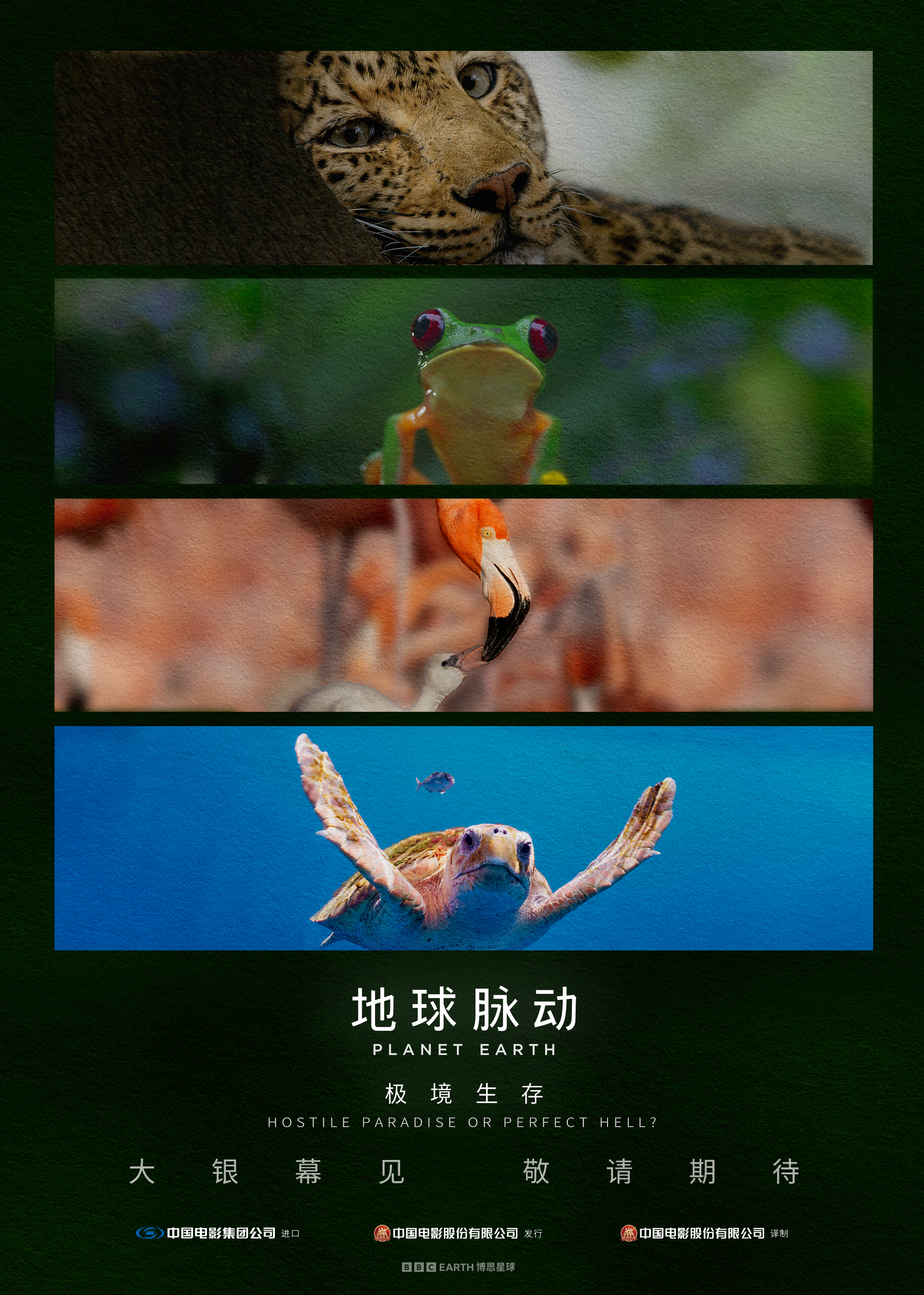 地球脉动：极境生存的海报-预告海报 中国大陆