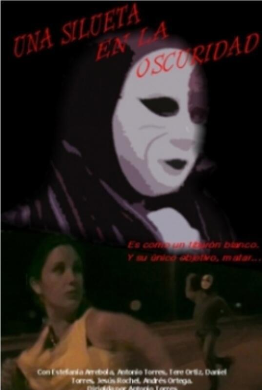 黑暗中的剪影的海报-正式海报