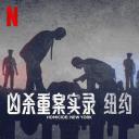 凶杀重案实录：纽约