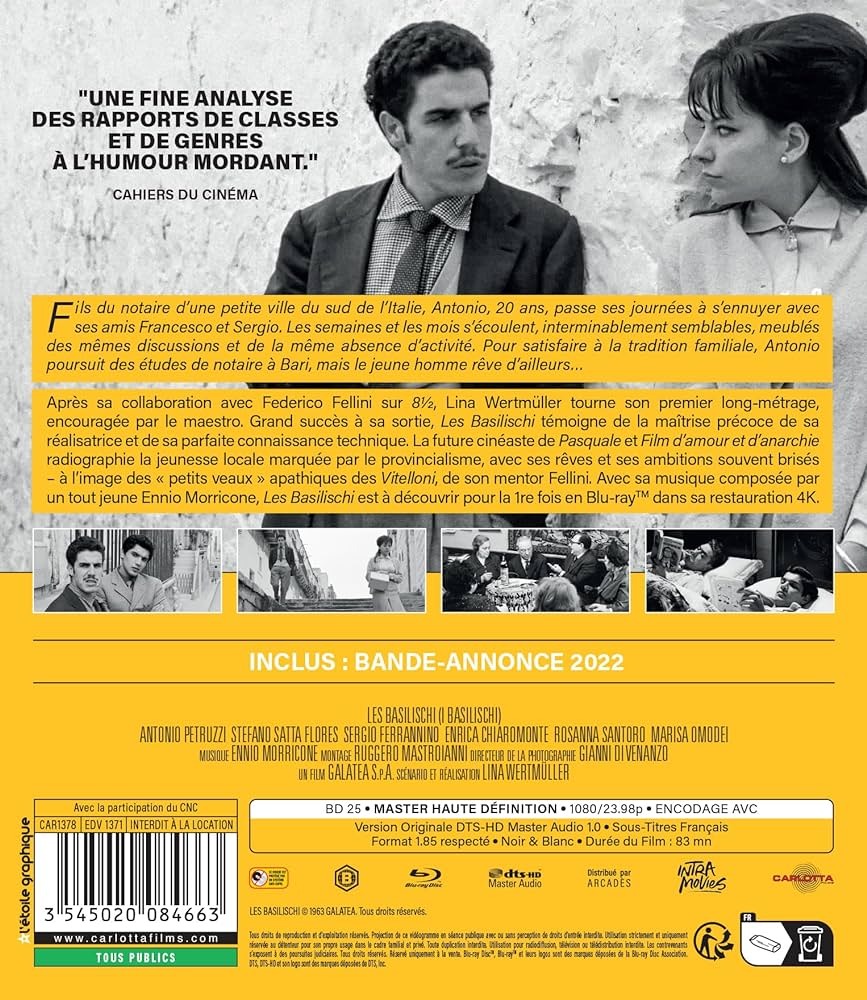 浪荡少年时的海报-其他海报 法国