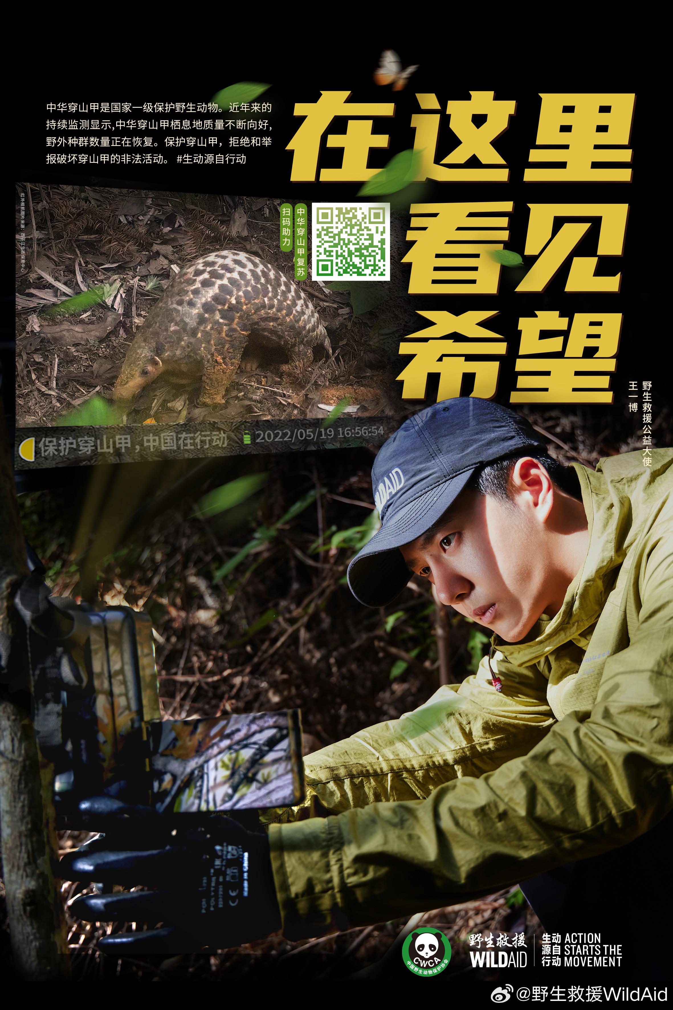 寻护者的海报-正式海报