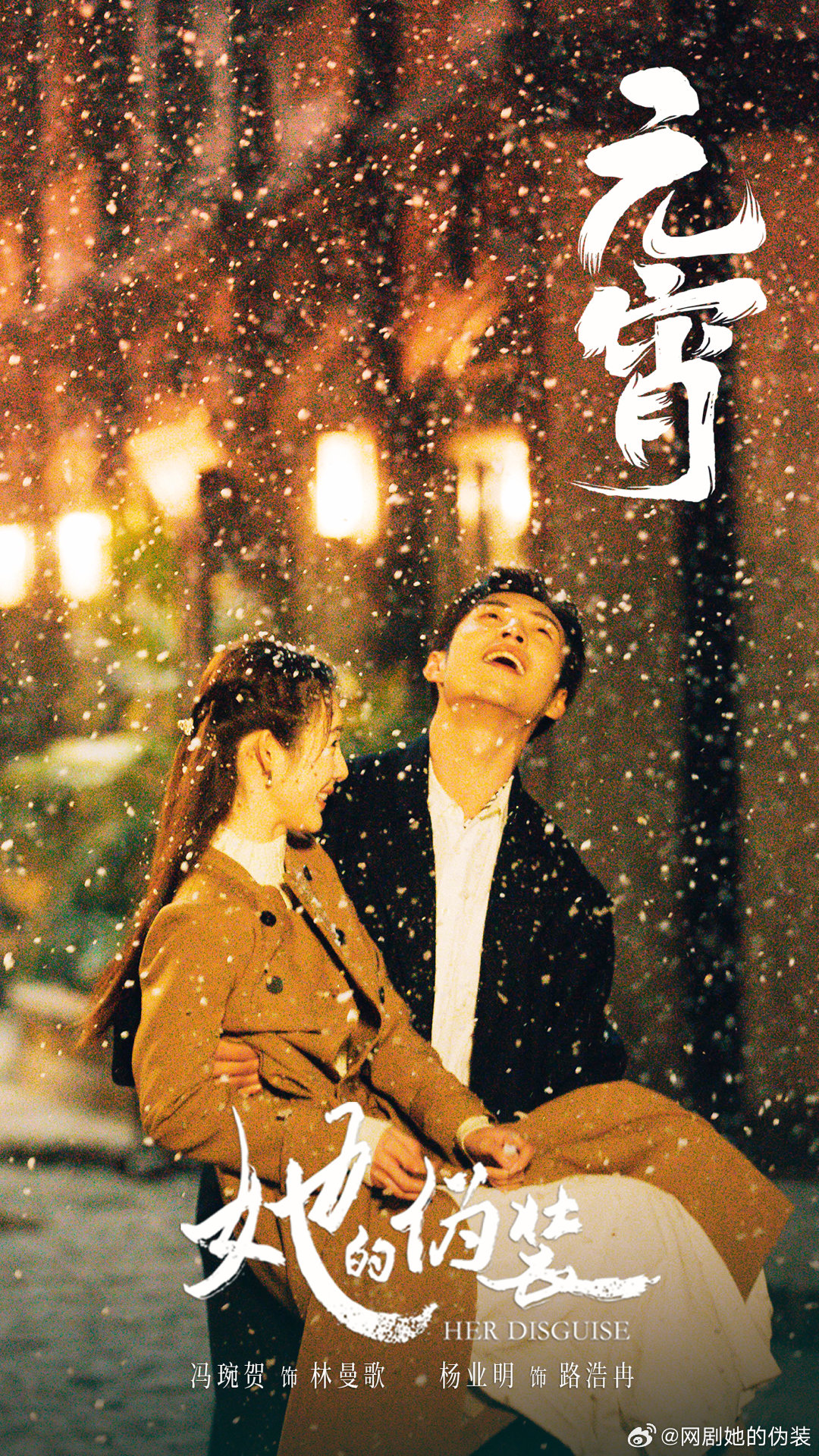 她的伪装的海报-其他海报
