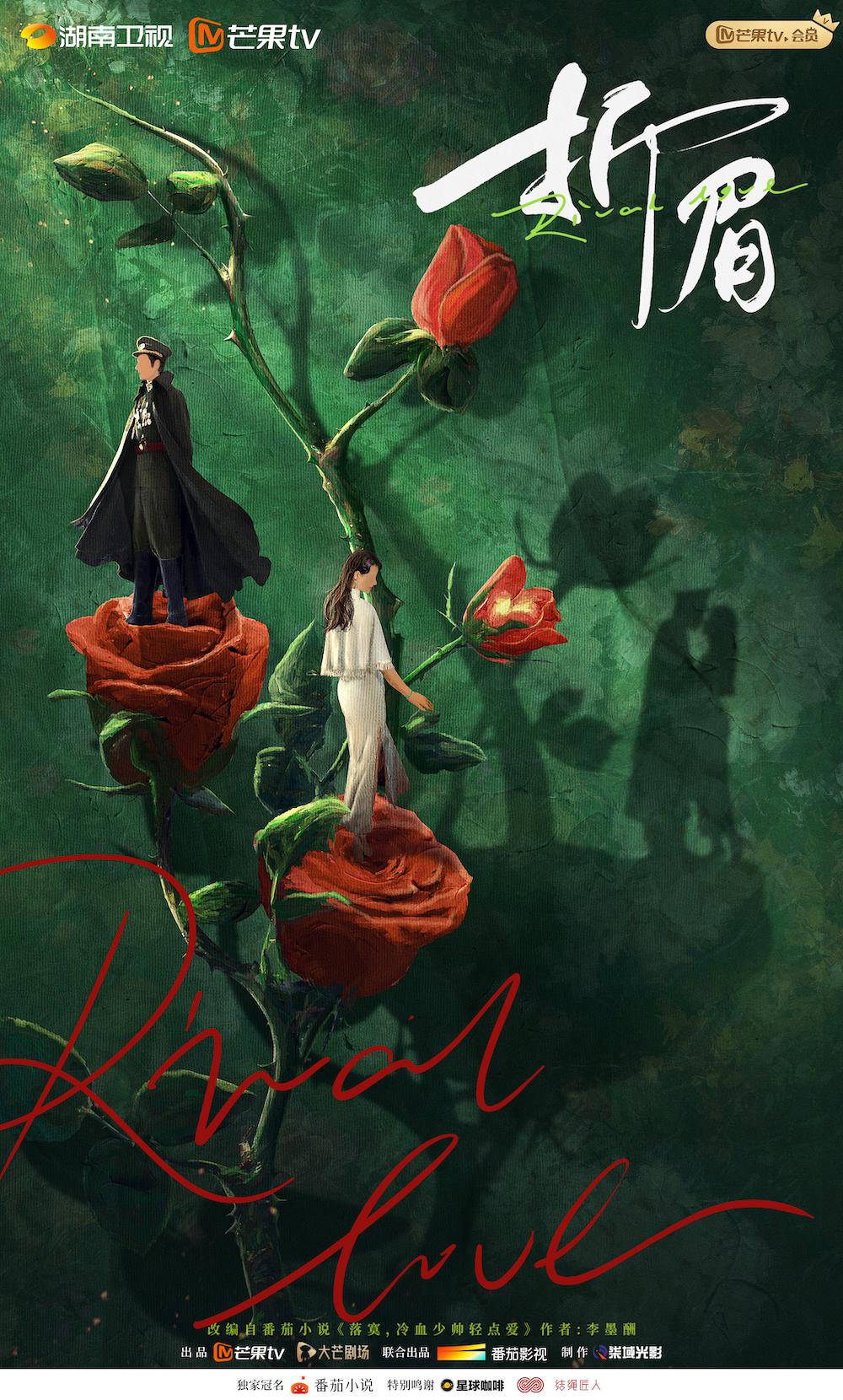 折眉的海报-正式海报