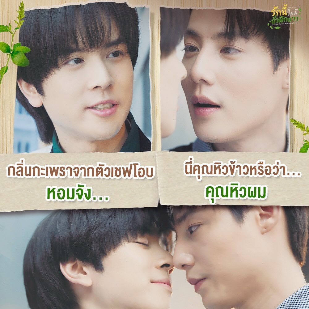 爱情罗勒香的海报-其他海报