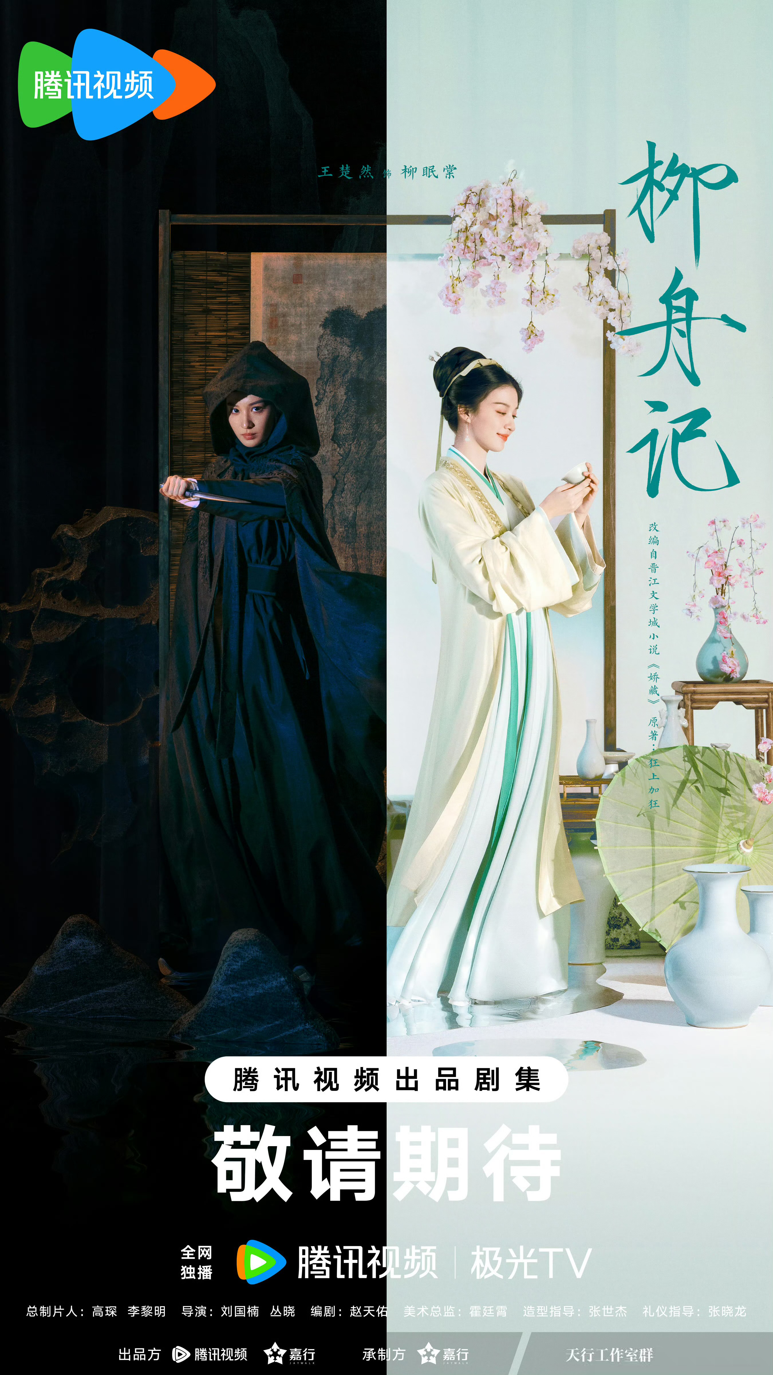 柳舟记的海报-预告海报 中国大陆