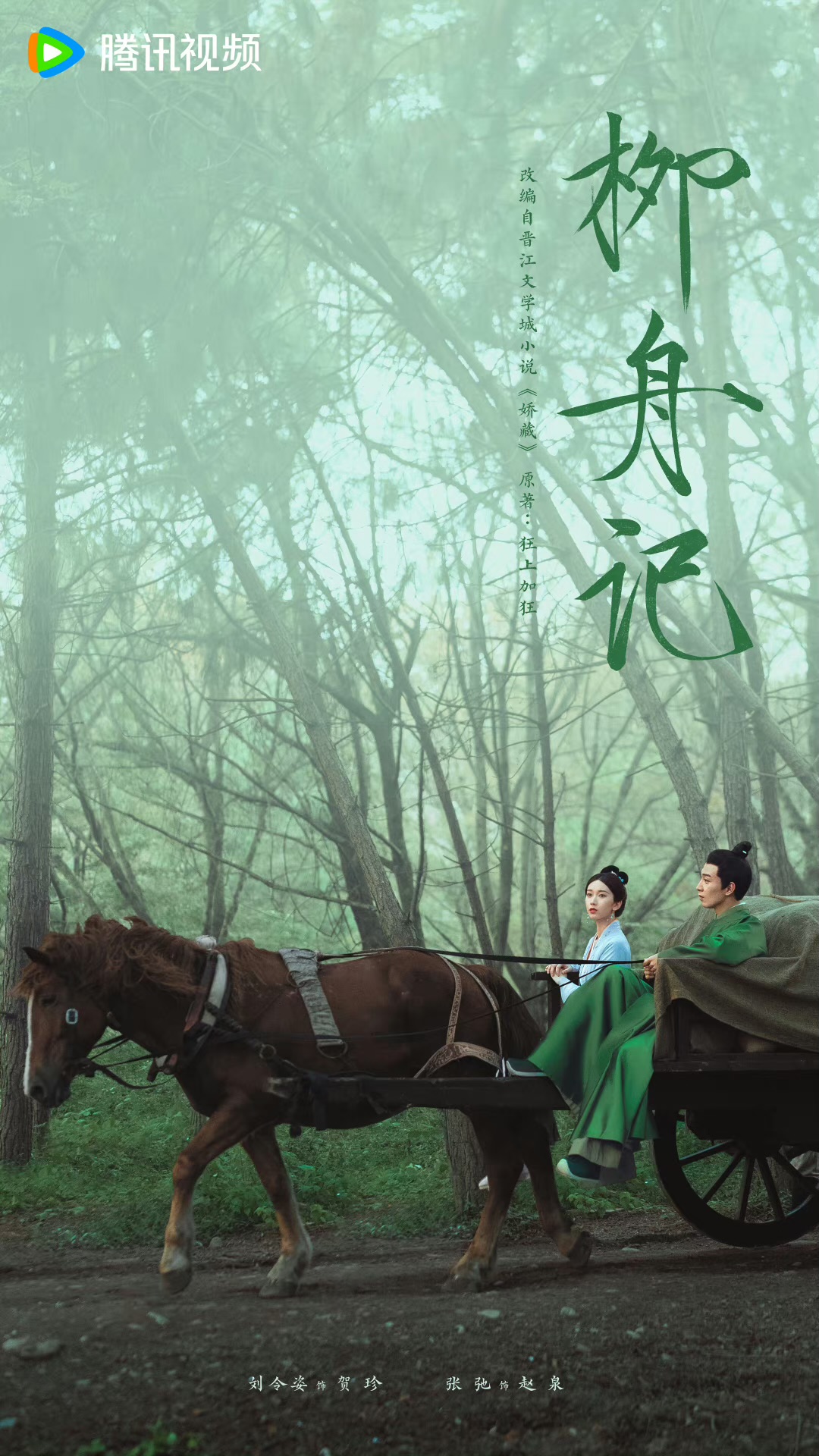 柳舟记的海报-正式海报