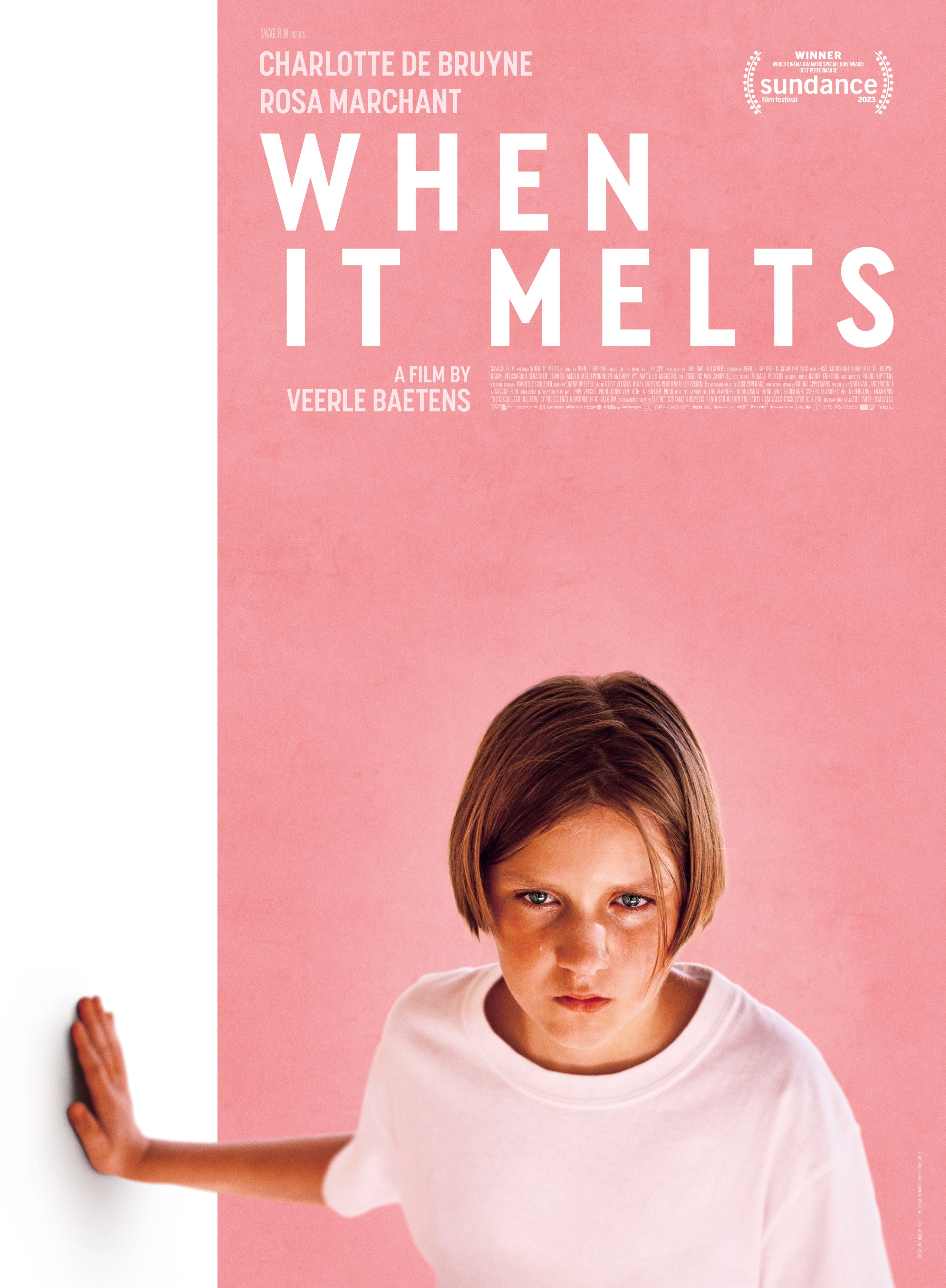 冰的融化的海报-正式海报 国际版