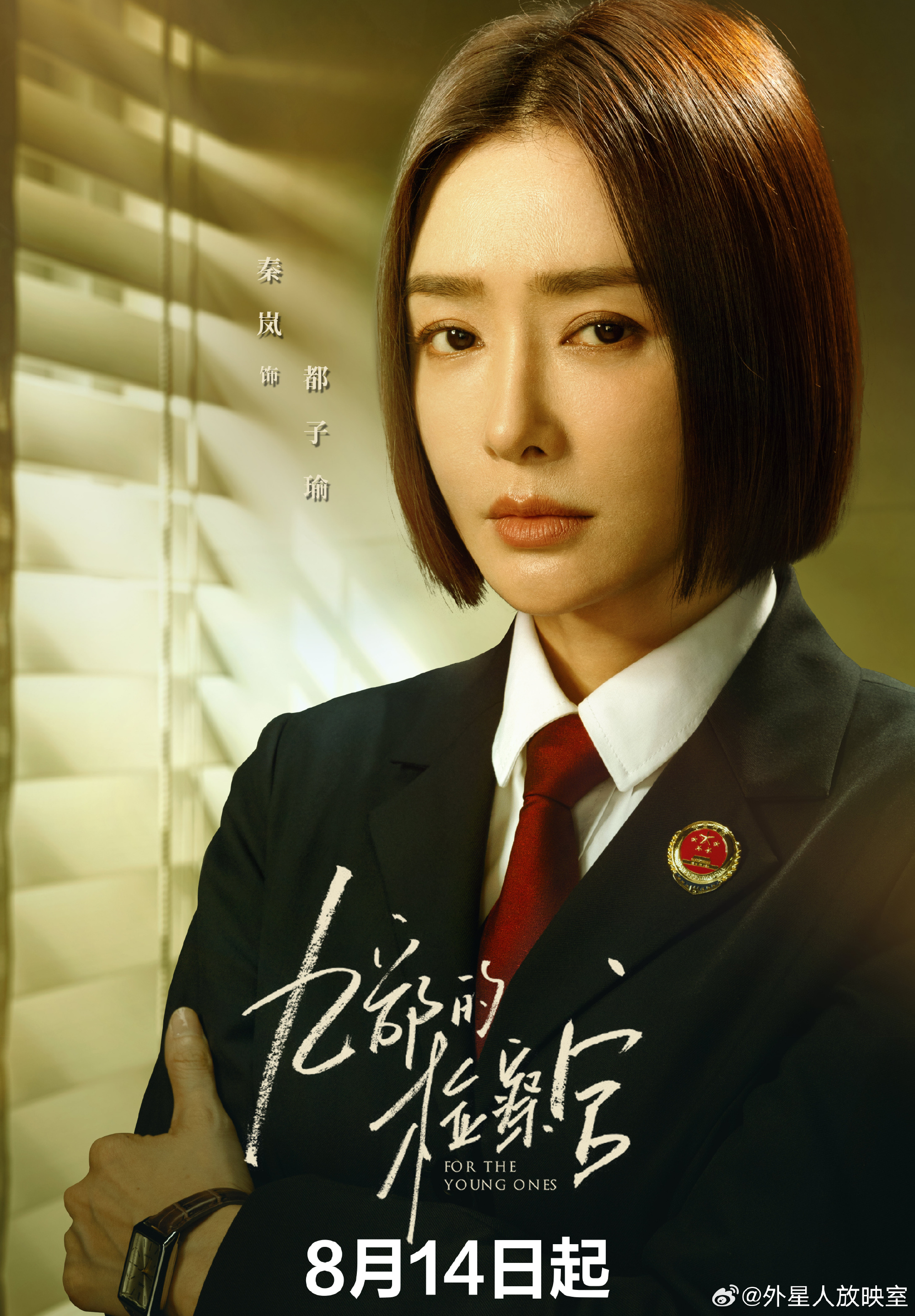 九部的检察官的海报-其他海报