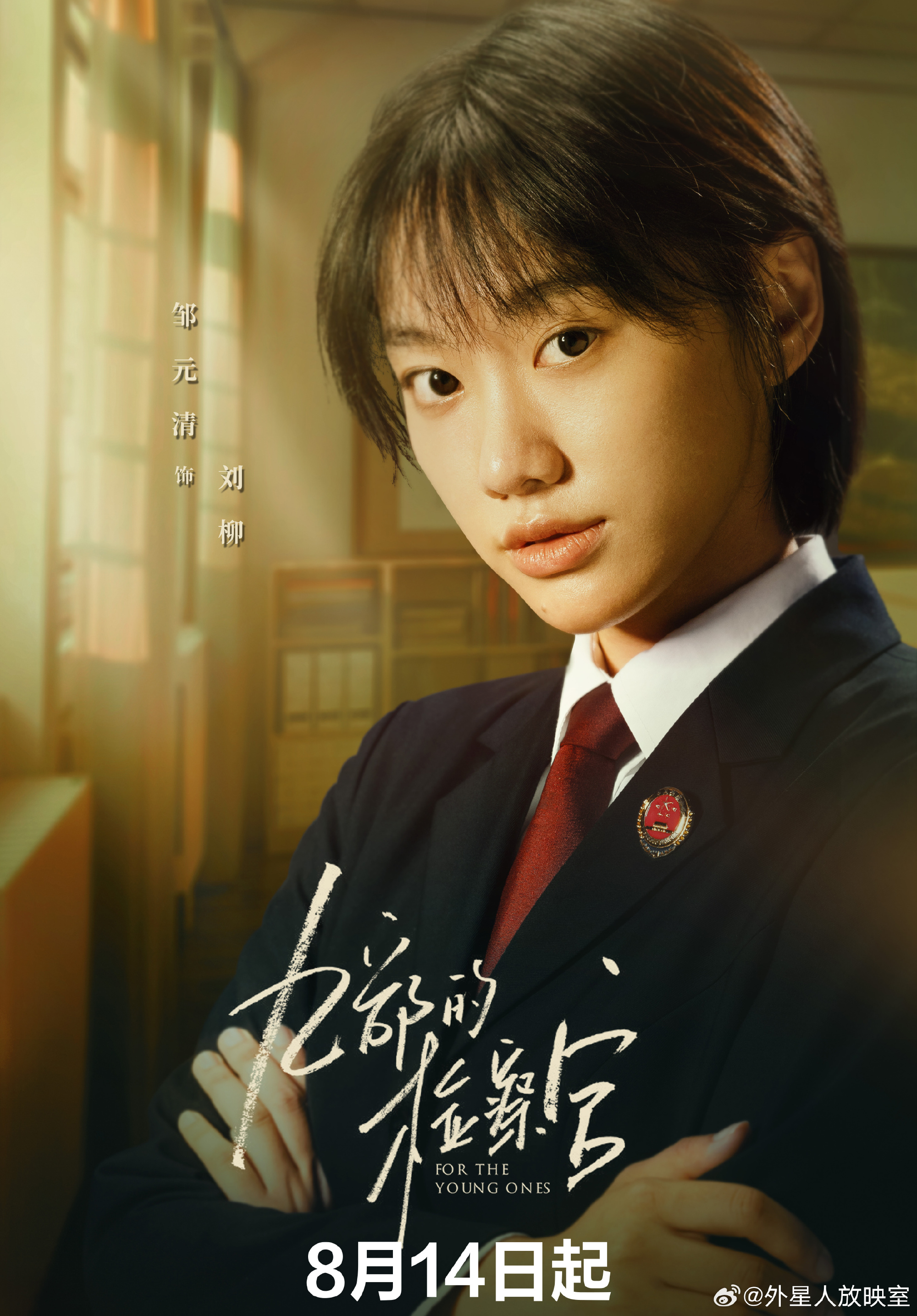 九部的检察官的海报-其他海报