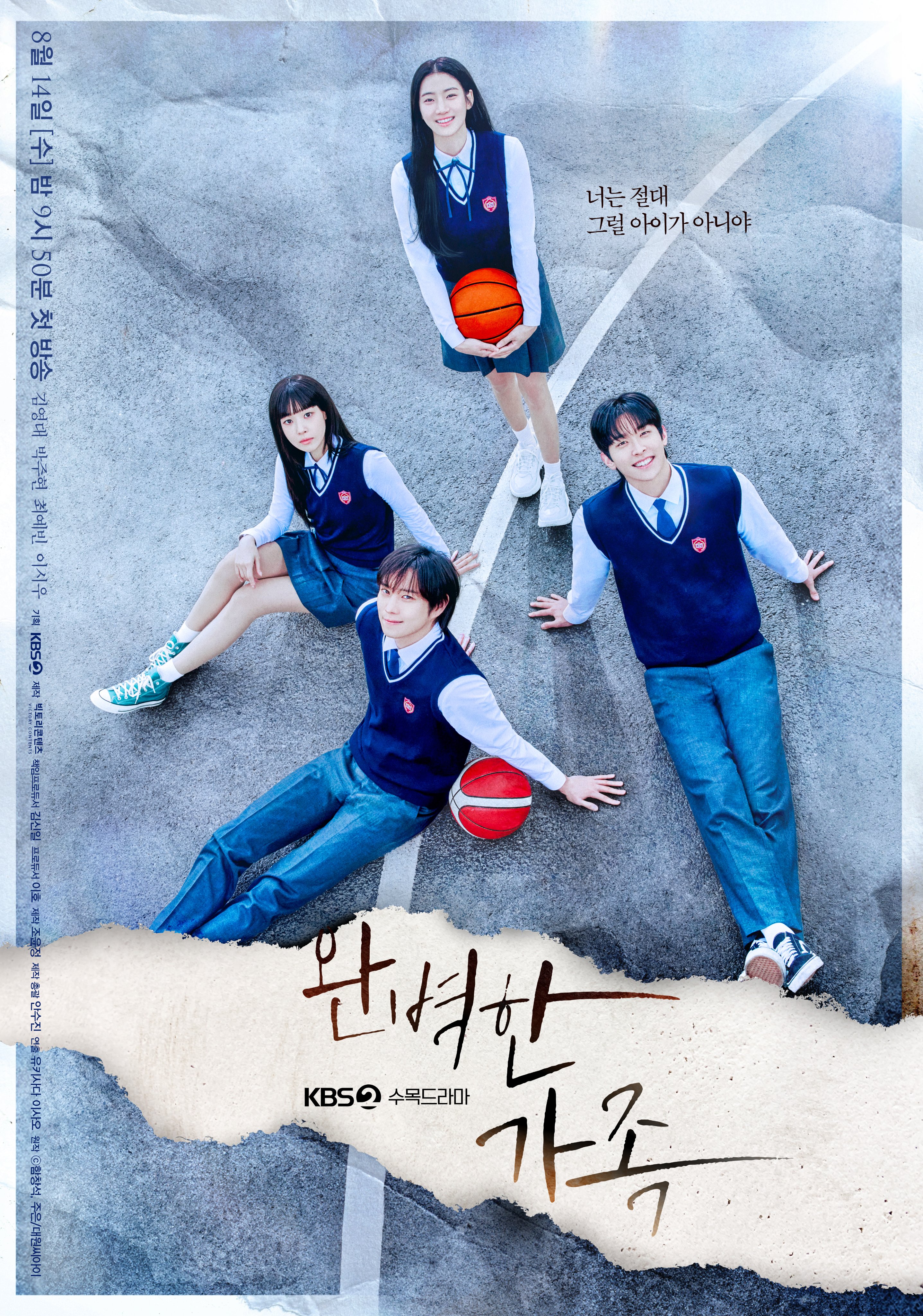 完美家庭的海报-正式海报