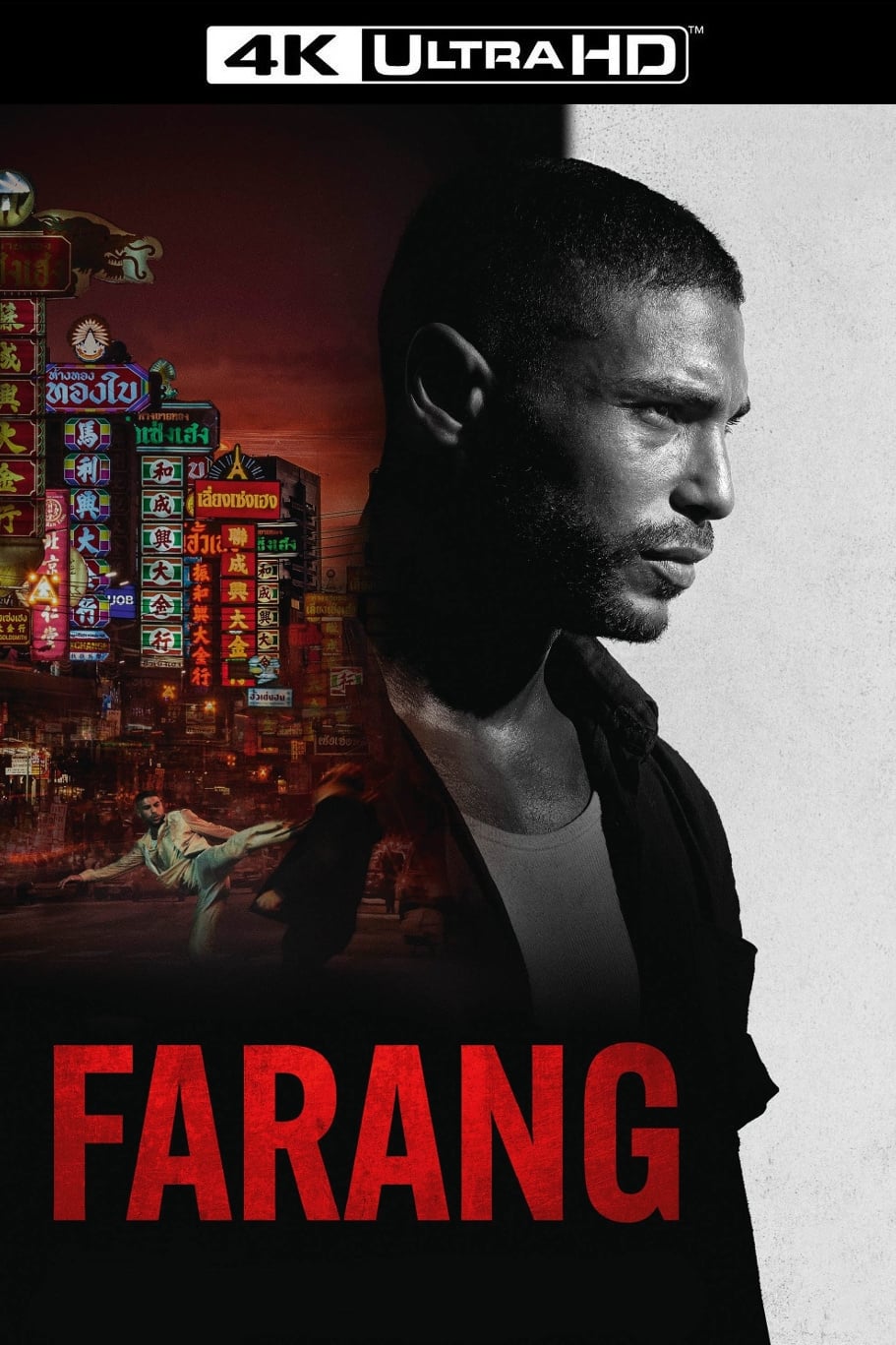 极拳攻缉的海报-其他海报