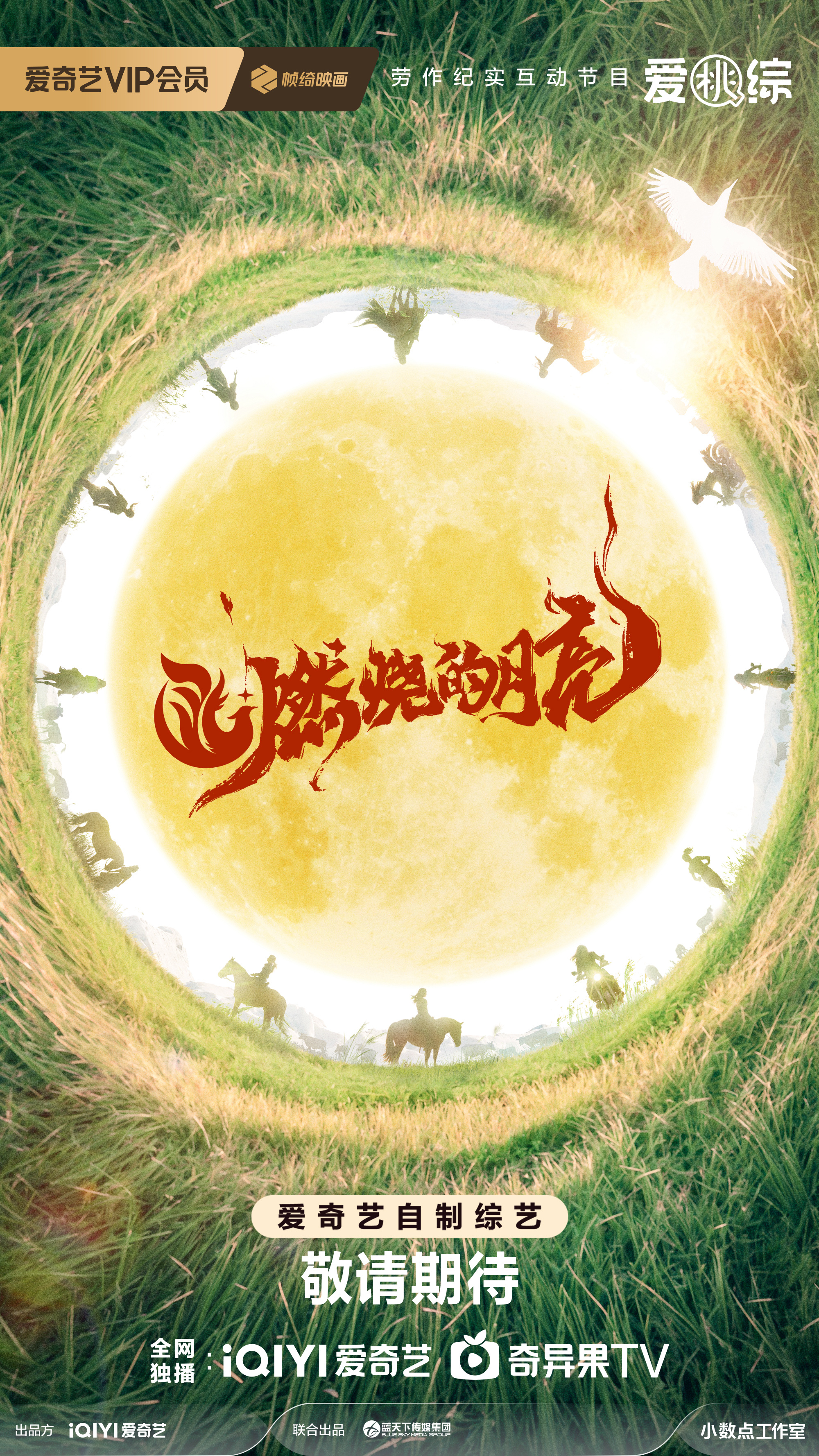 燃烧的月亮的海报-预告海报