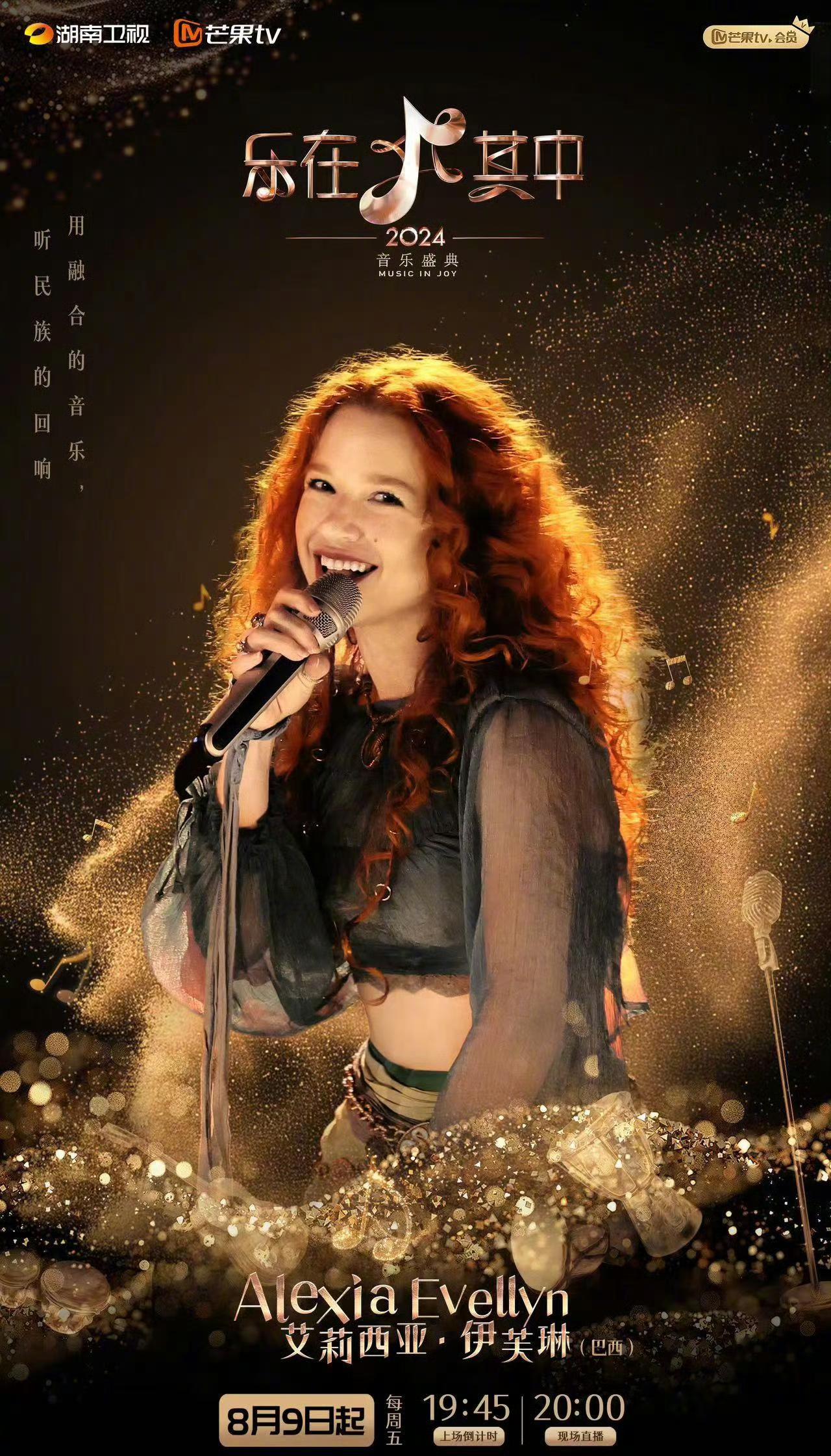 乐在其中的海报-正式海报