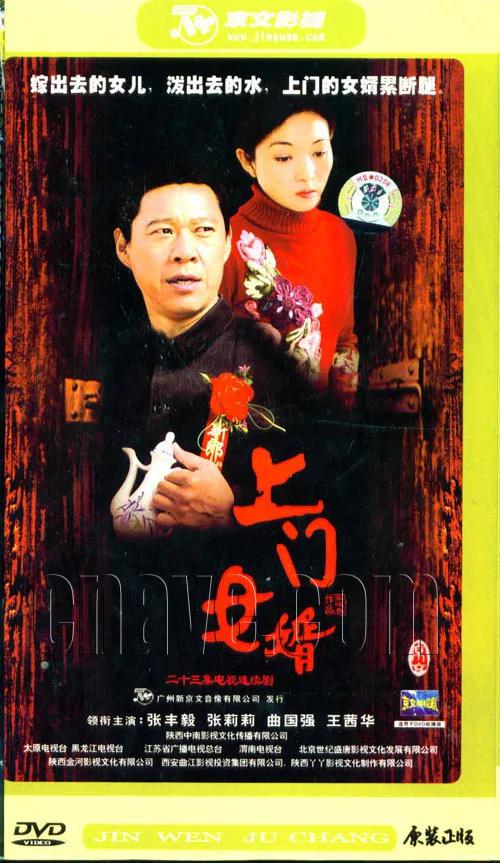 上门女婿的海报-正式海报