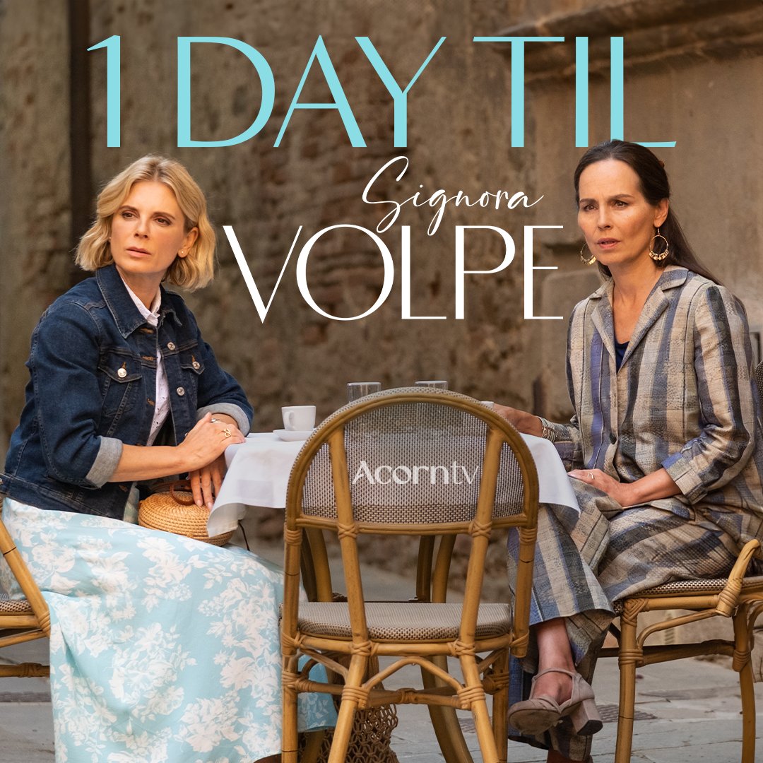 狐狸女士 第二季的海报-预告海报