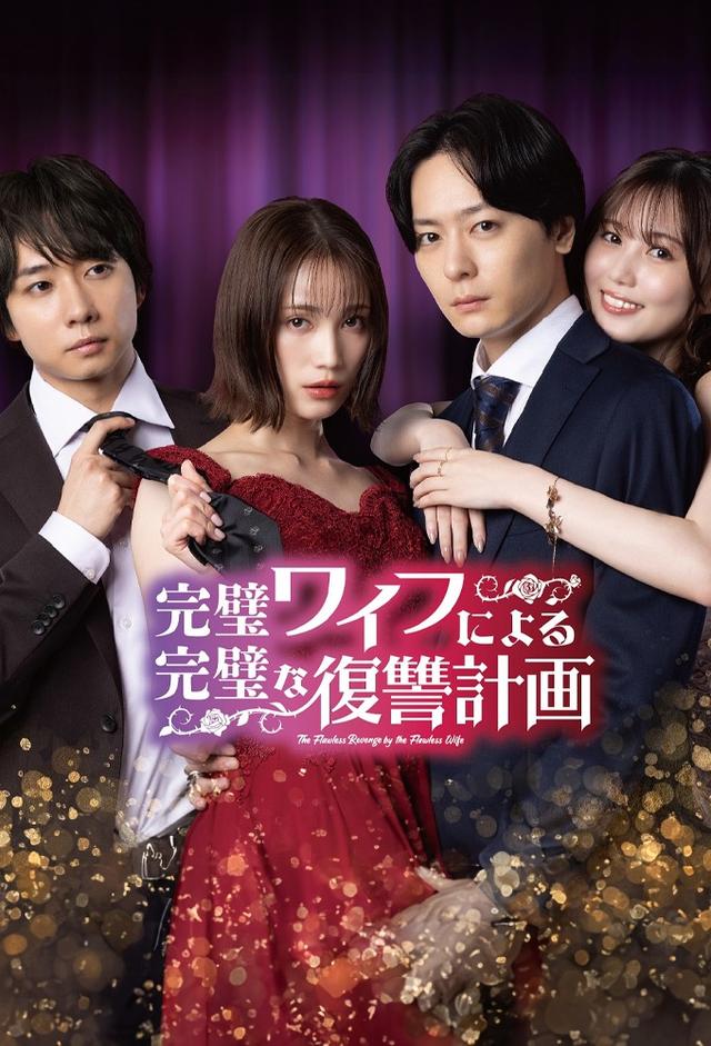 完美妻子的完美复仇计划的海报-正式海报