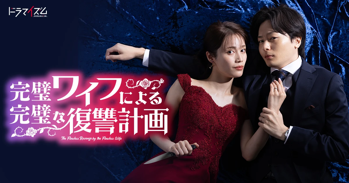 完美妻子的完美复仇计划的海报-预告海报