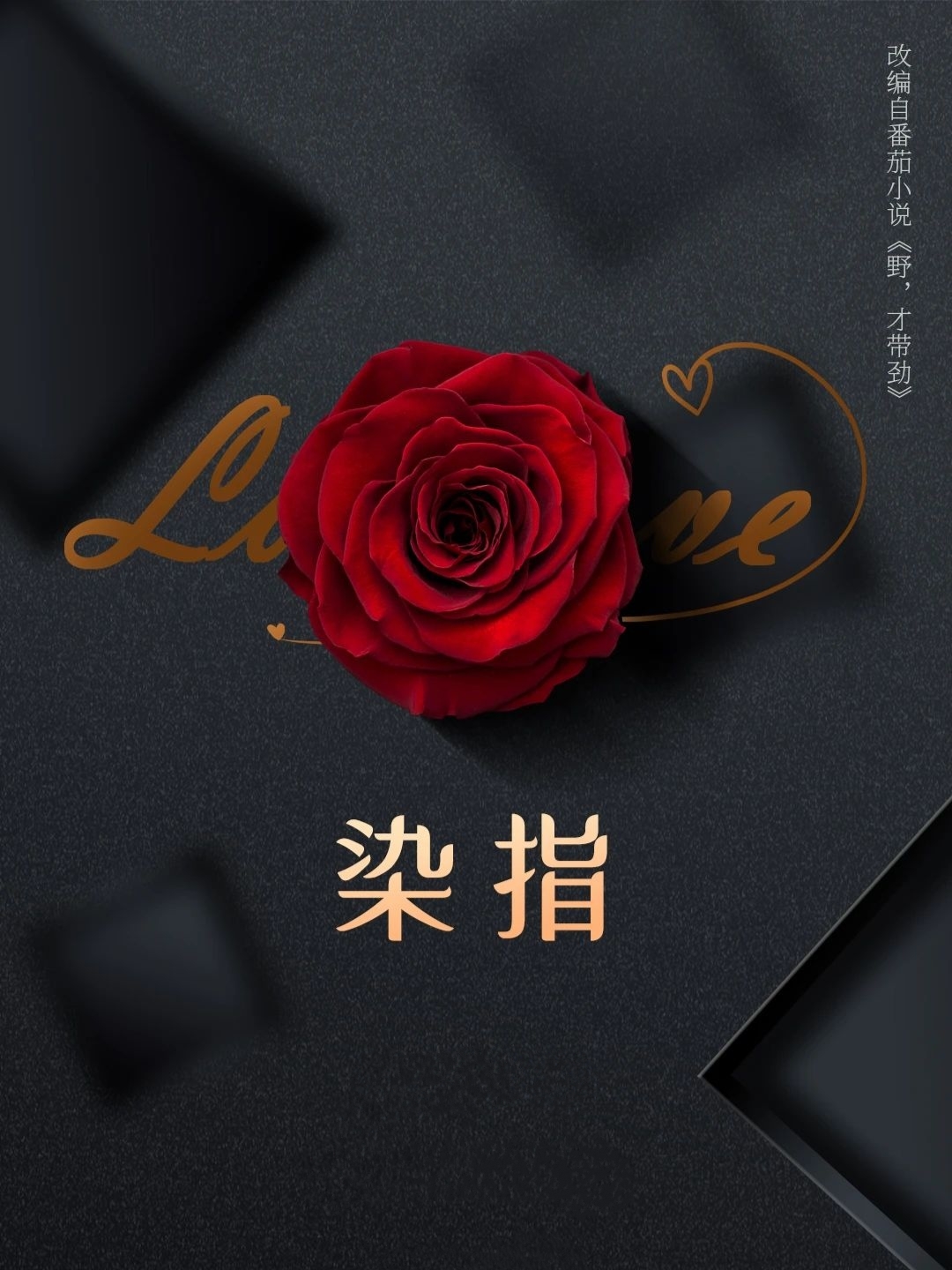 染指的海报-其他海报