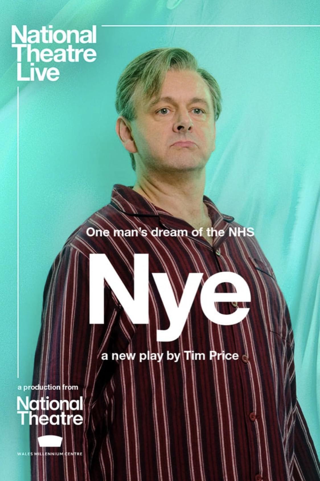 奈伊的海报-正式海报