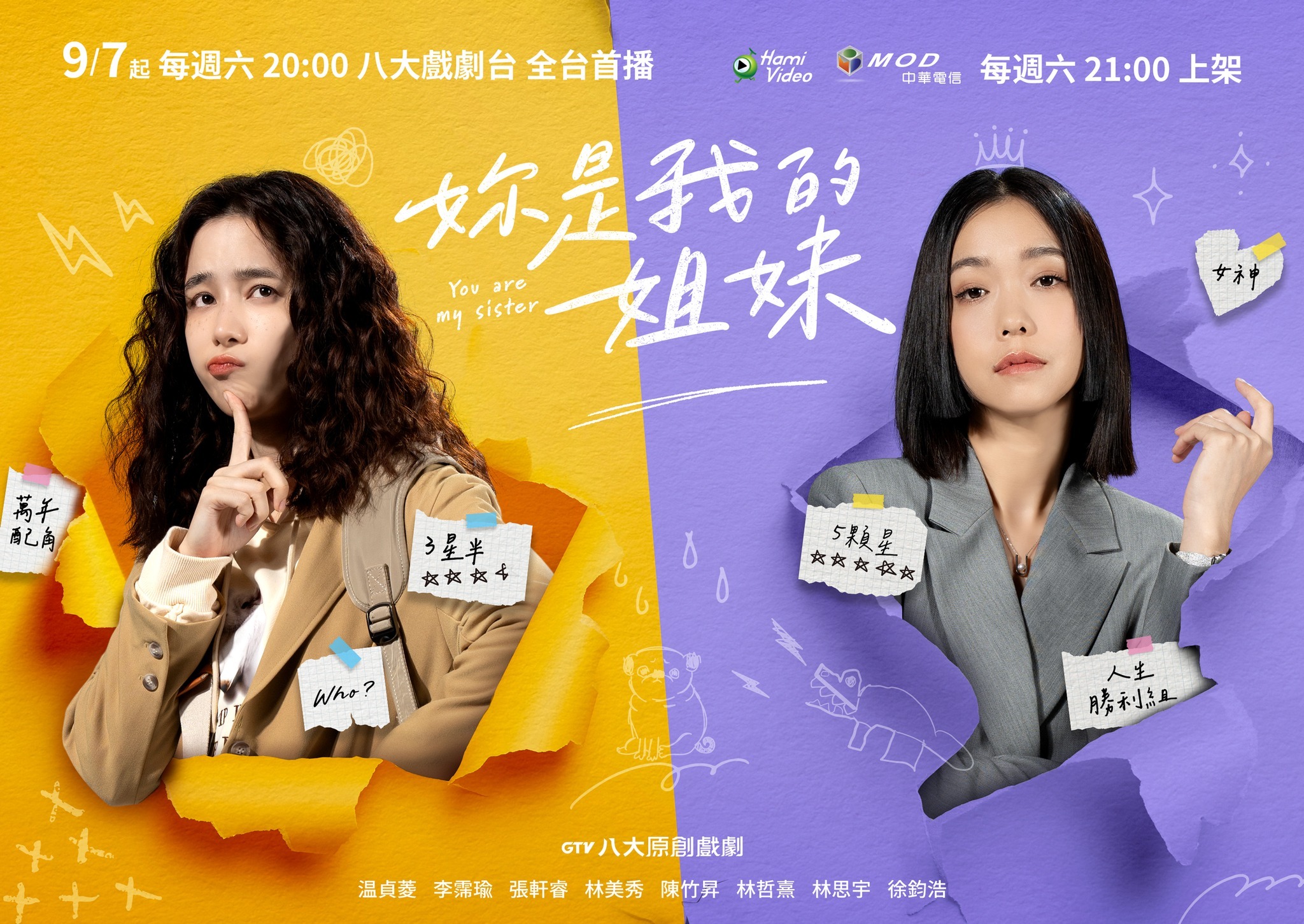 妳是我的姐妹的海报-正式海报