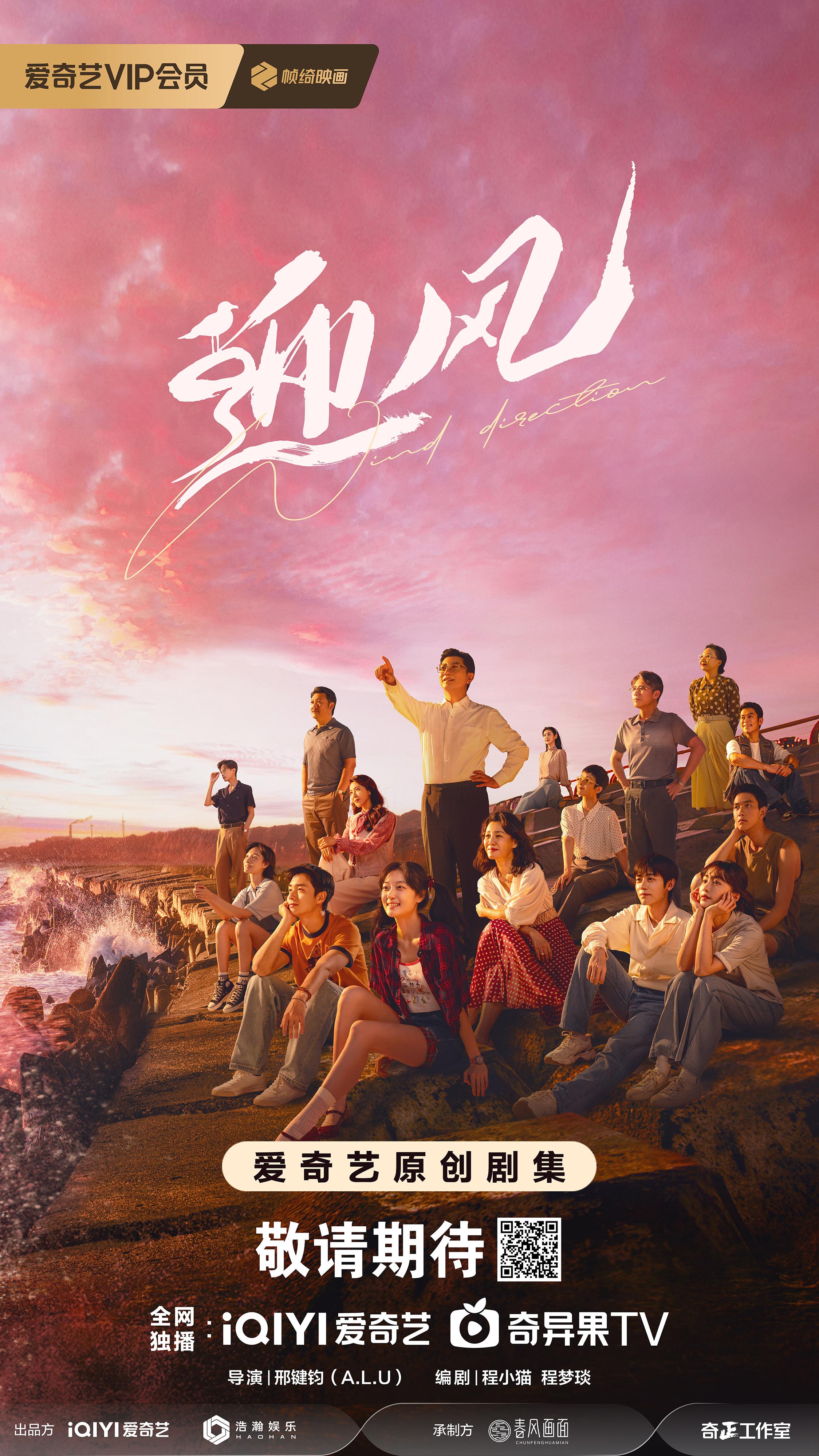 迎风的青春的海报-正式海报