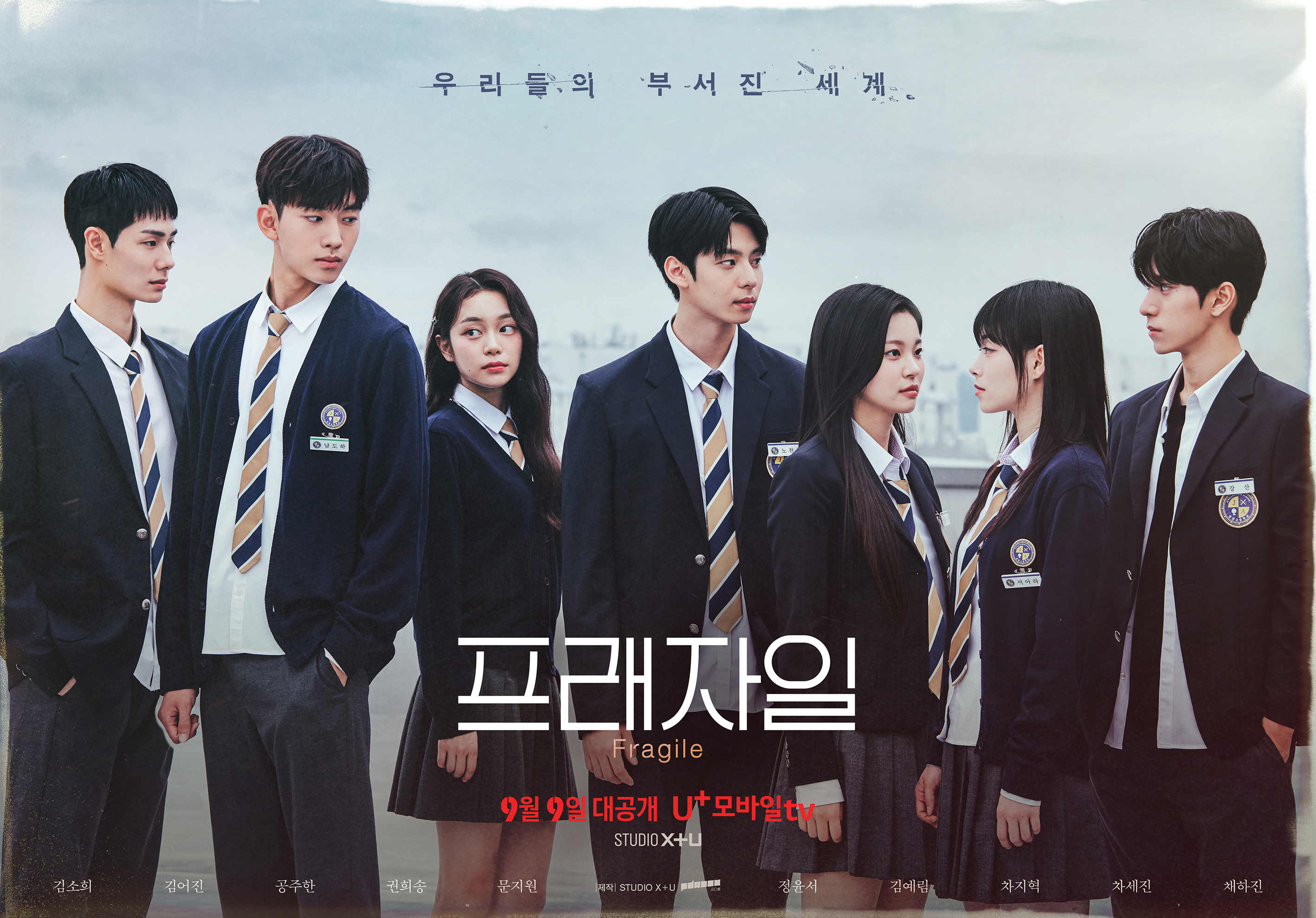 脆弱的海报-正式海报