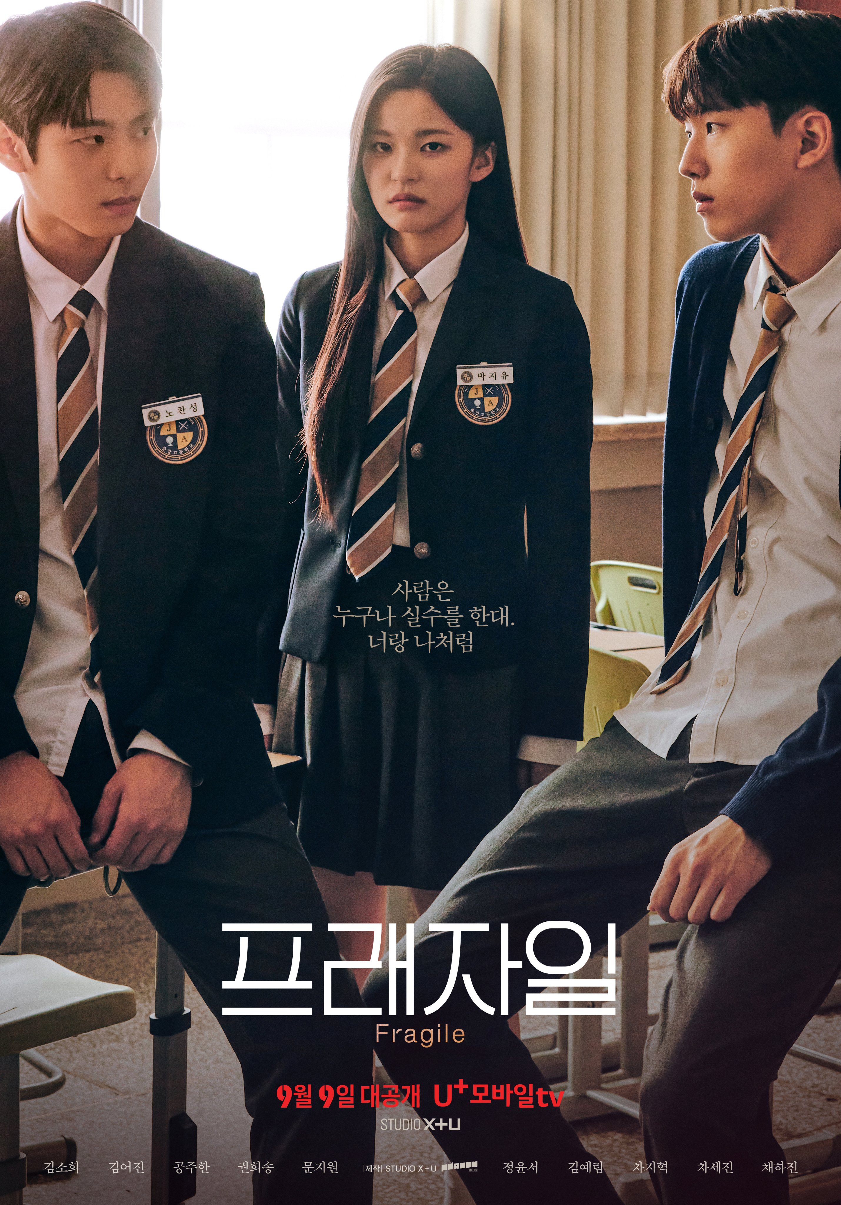 脆弱的海报-正式海报