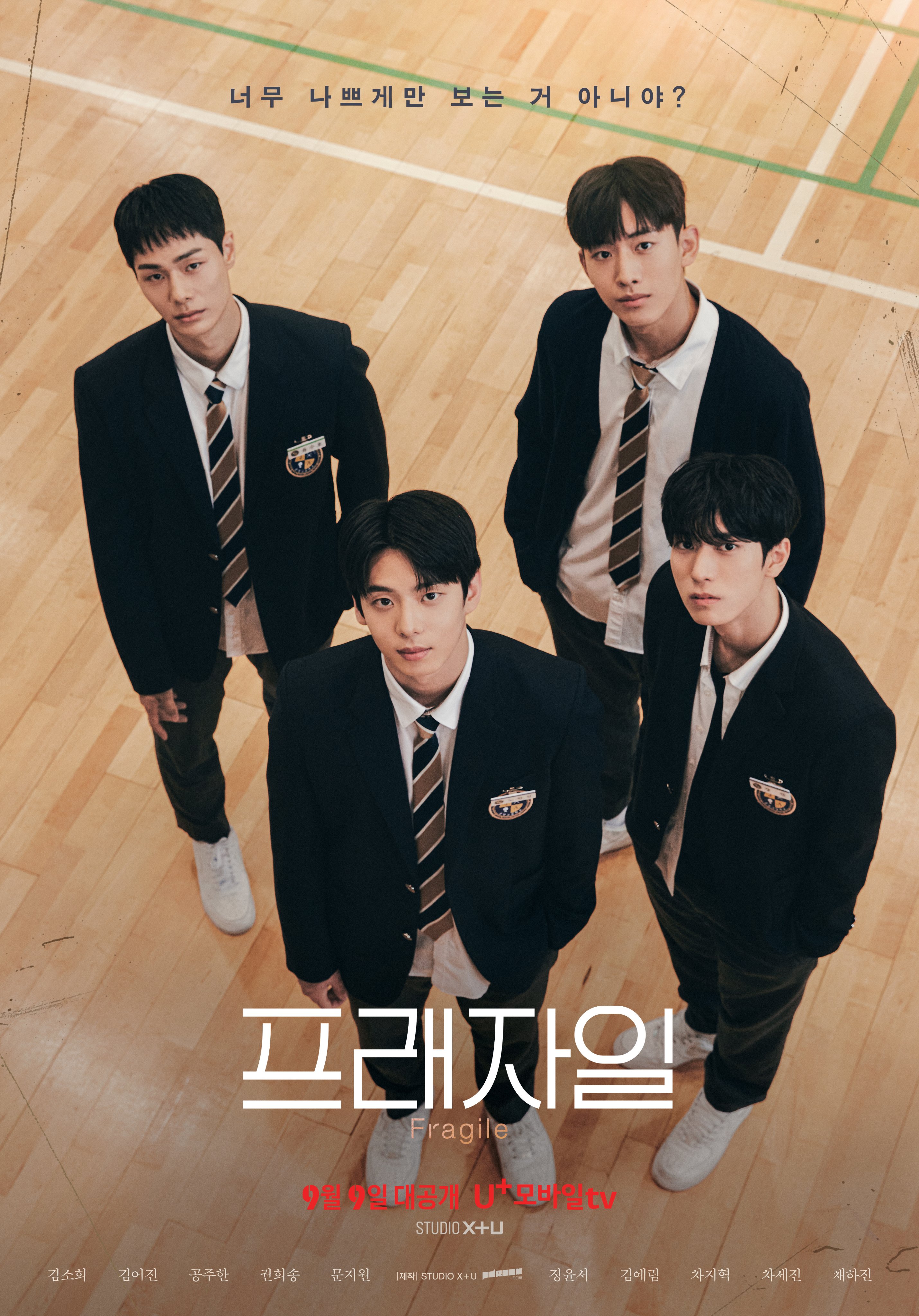 脆弱的海报-正式海报