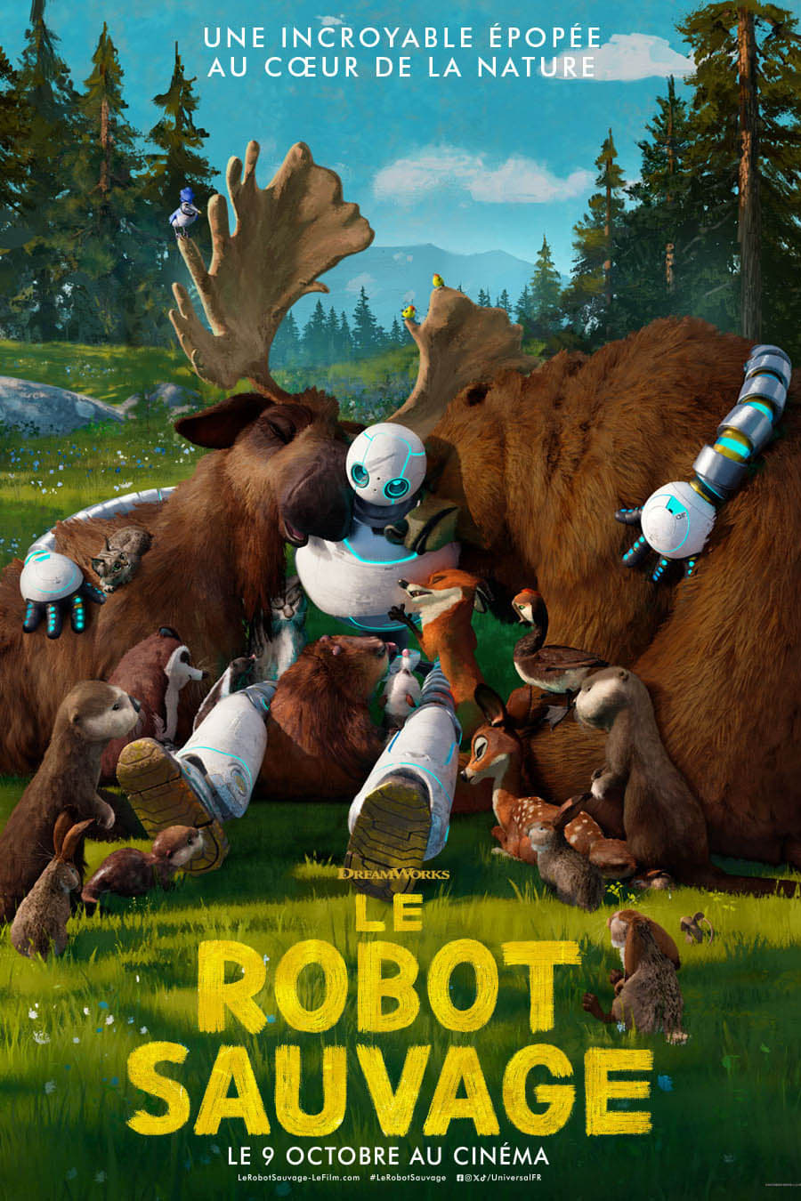 荒野机器人的海报-正式海报 法国