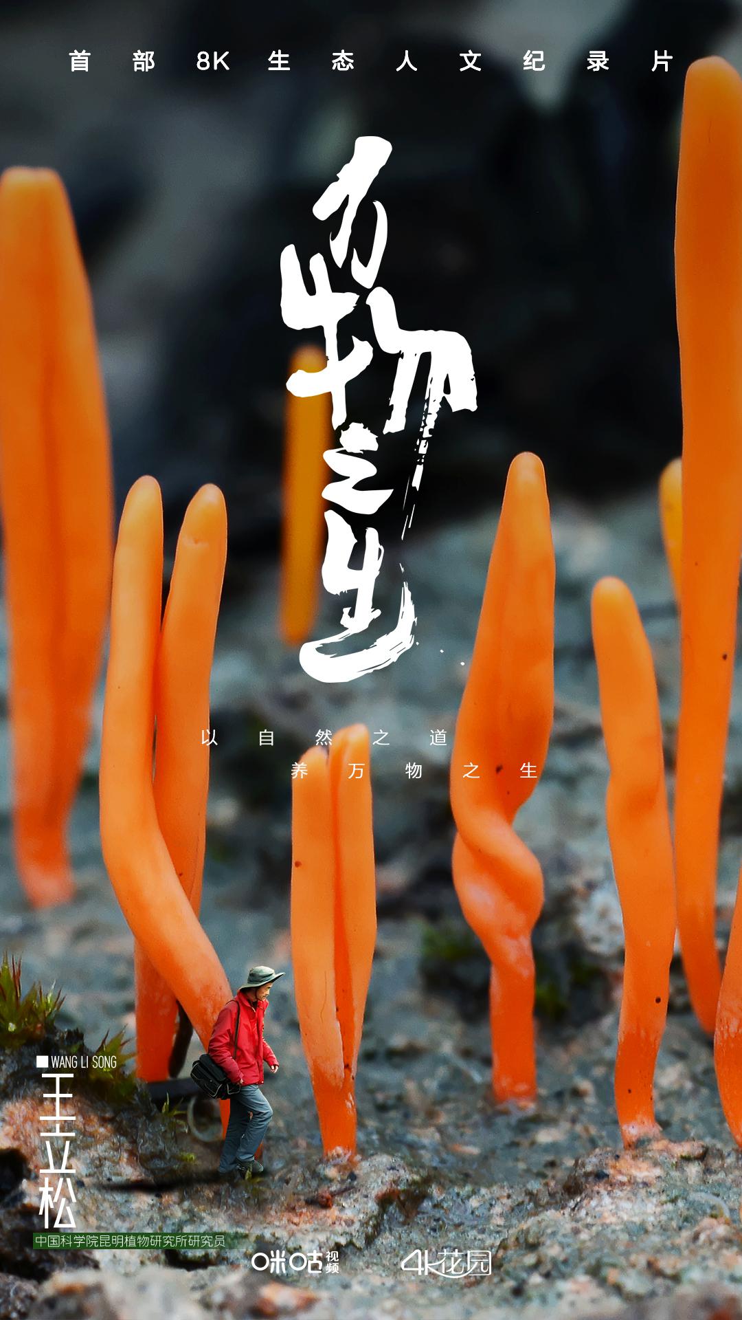 万物之生的海报-正式海报