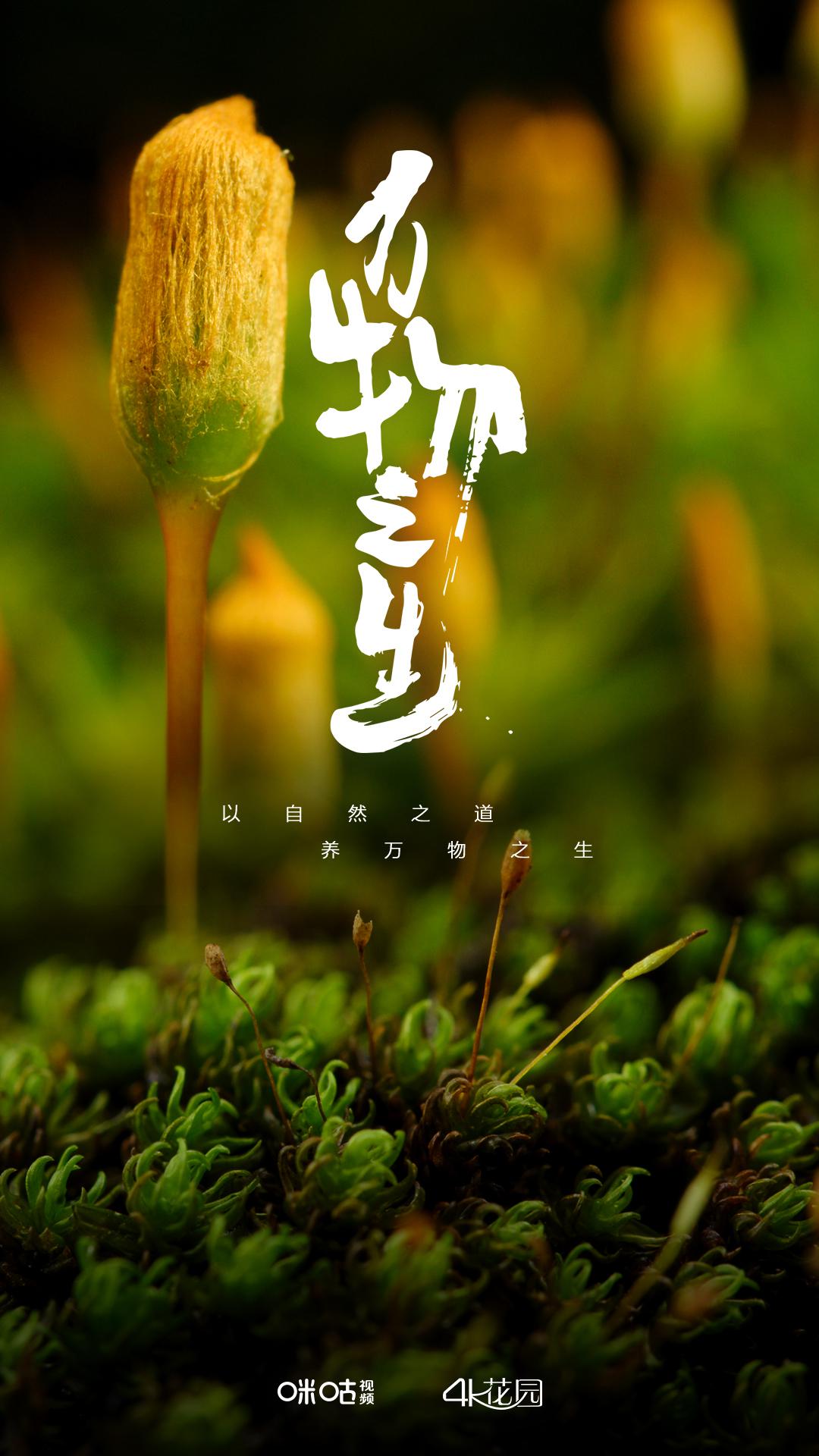 万物之生的海报-正式海报