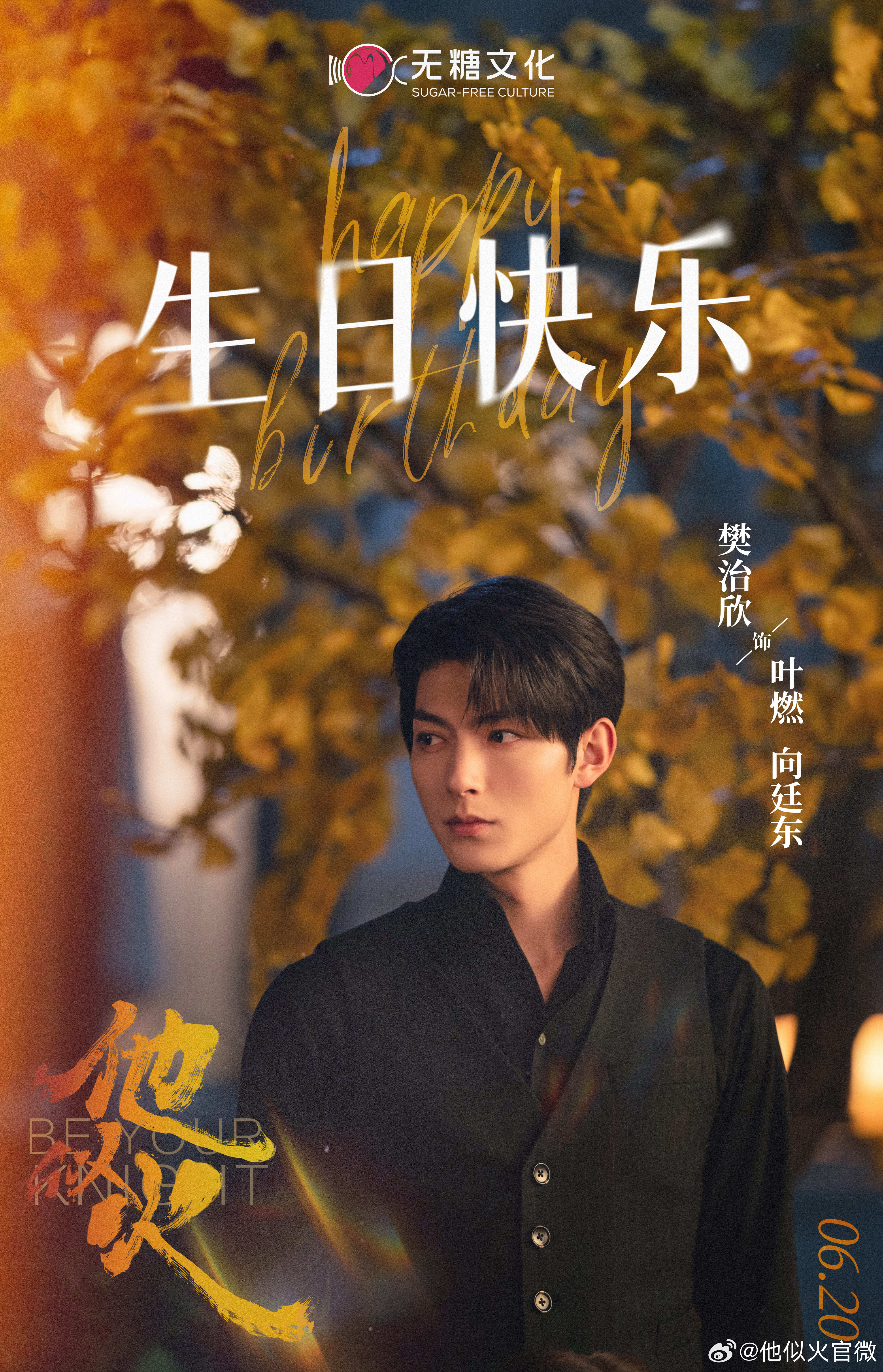 他似火的海报-其他海报