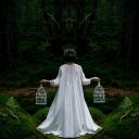 请寻找我的尸体