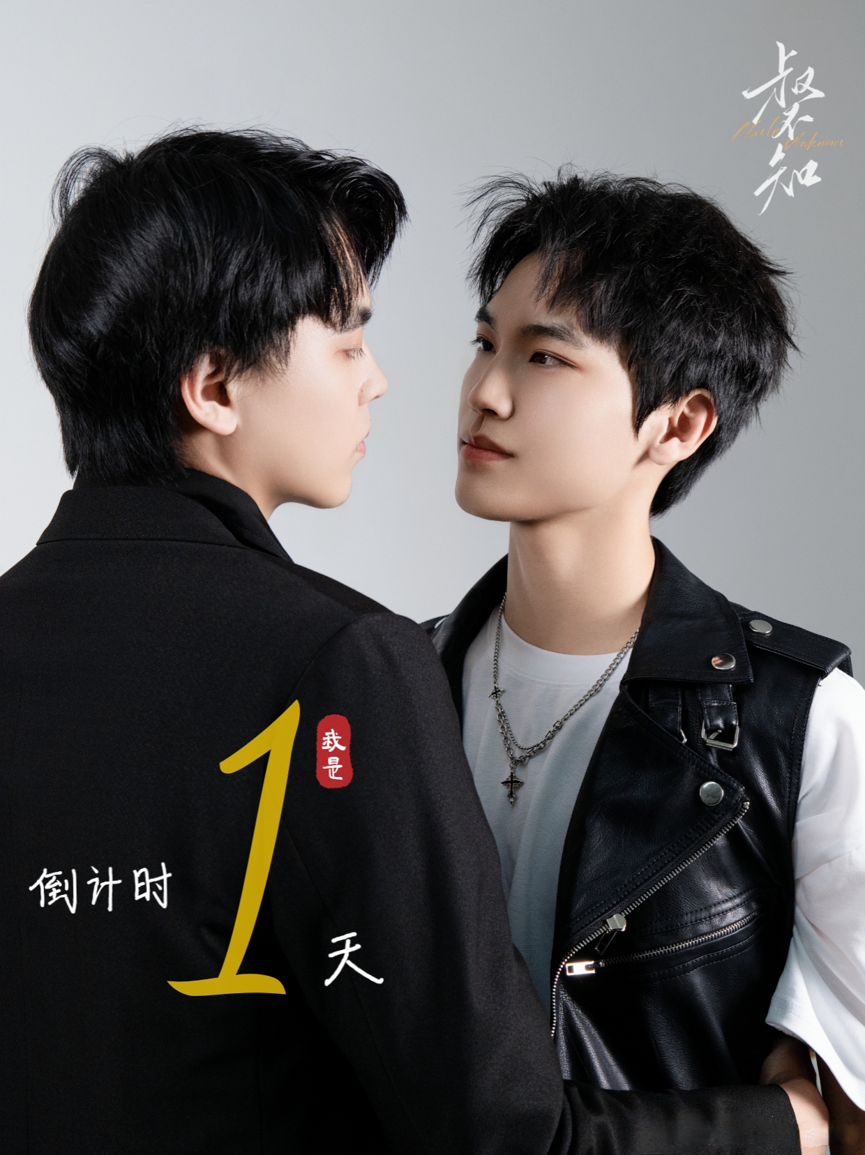 叔不知的海报-预告海报