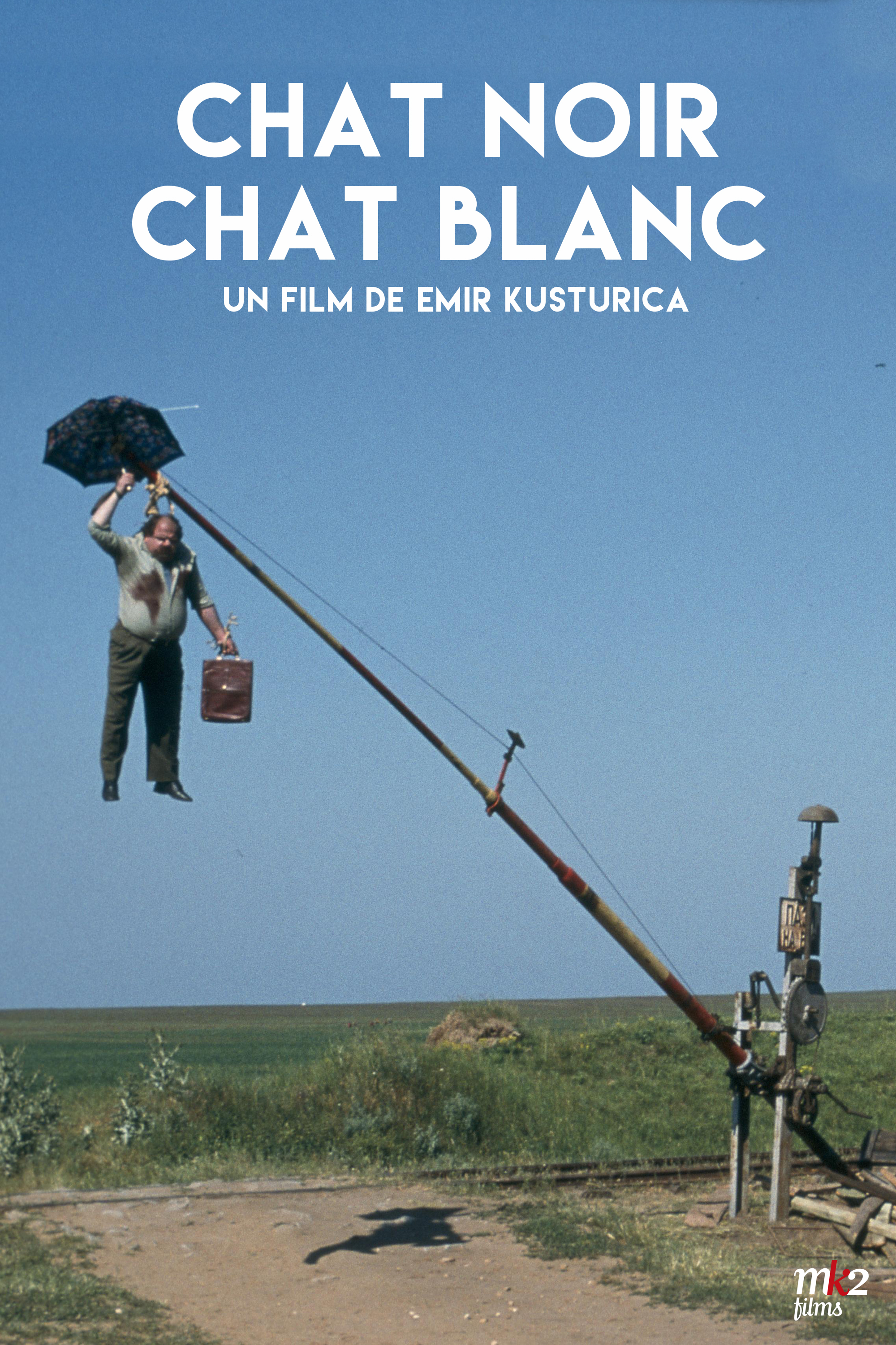 黑猫白猫的海报-正式海报 法国