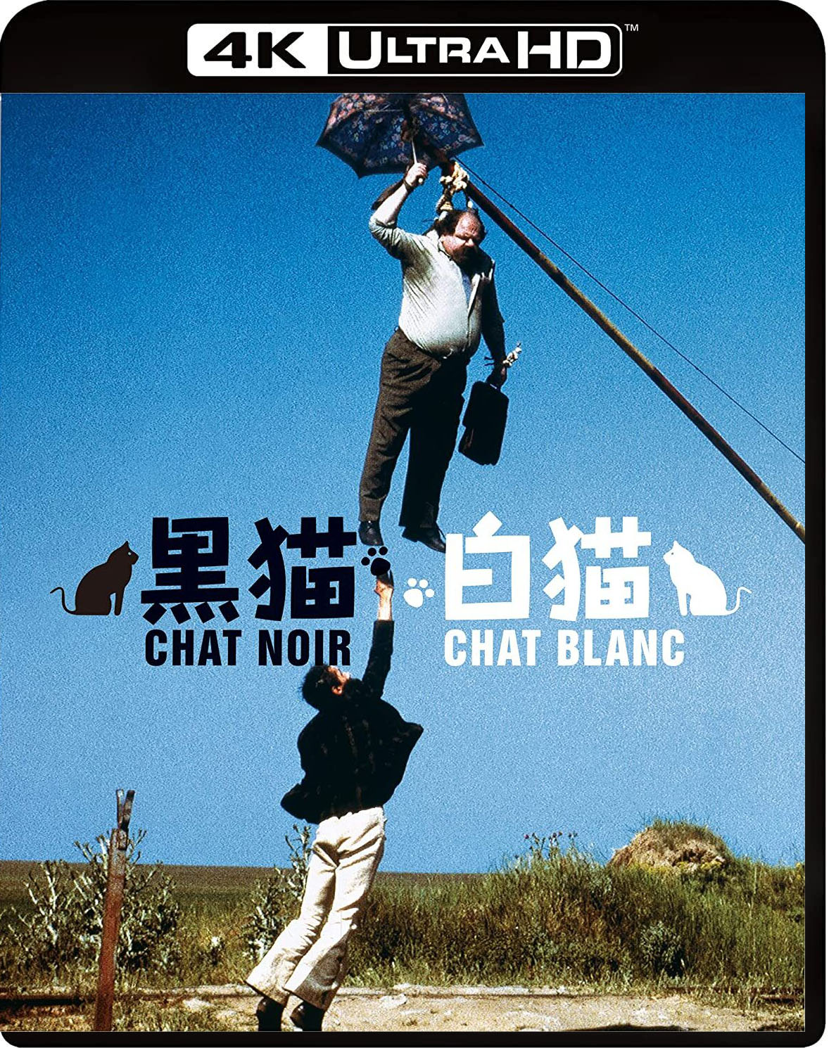 黑猫白猫的海报-其他海报