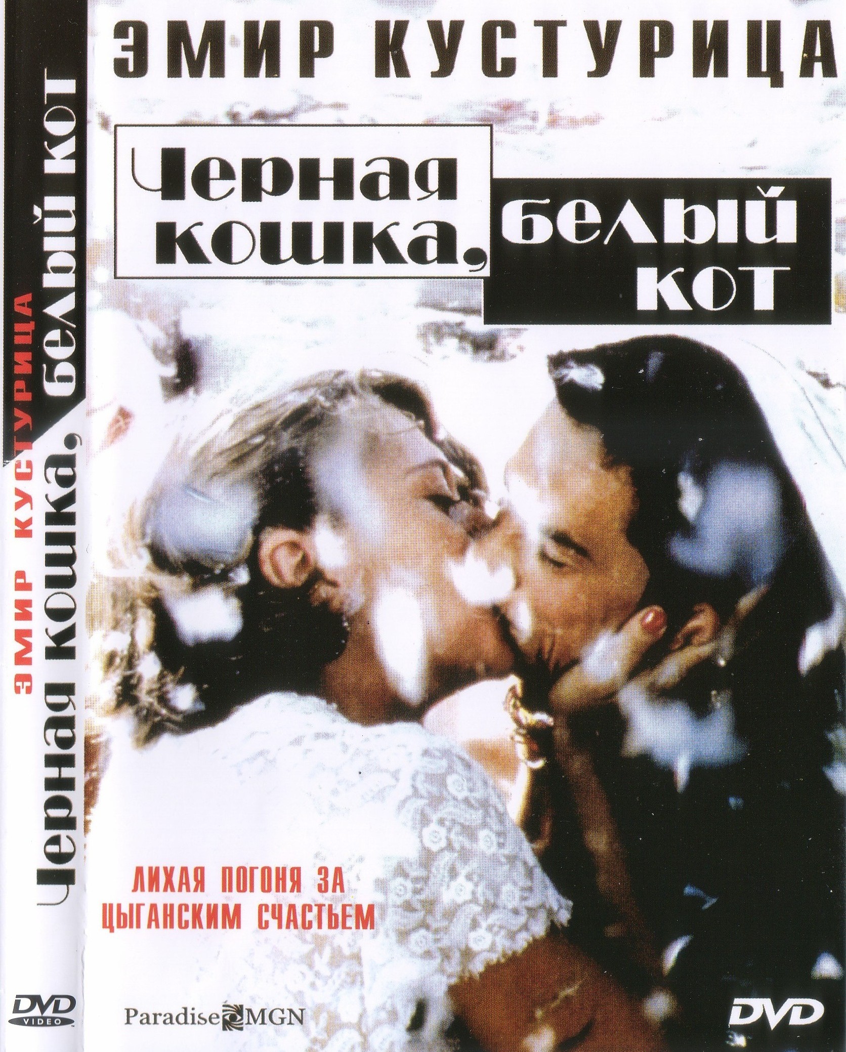 黑猫白猫的海报-其他海报